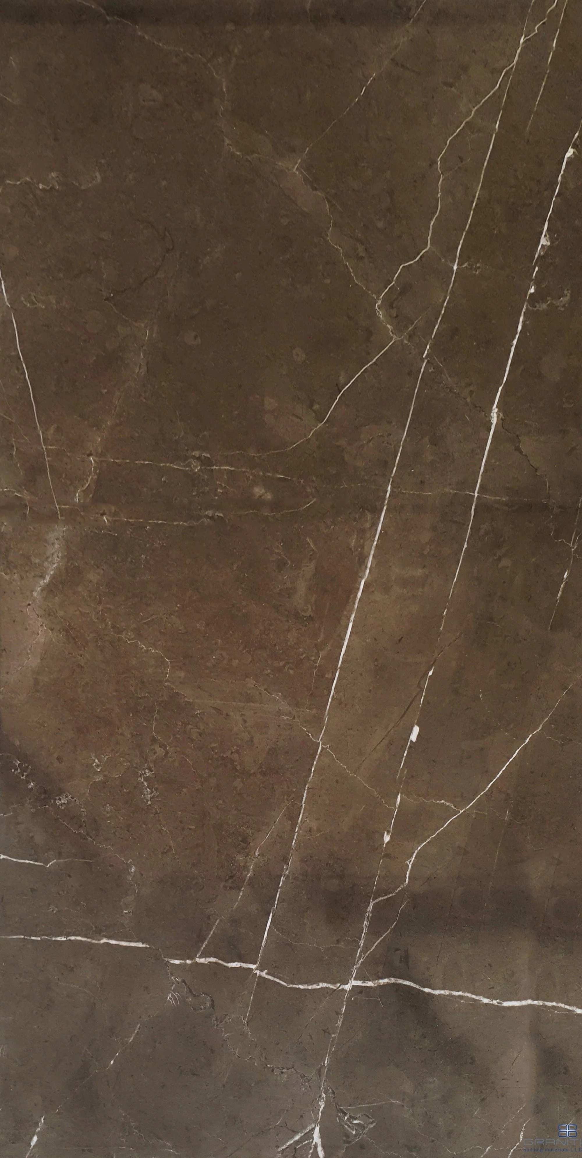 LuxorVizon40x80.jpg