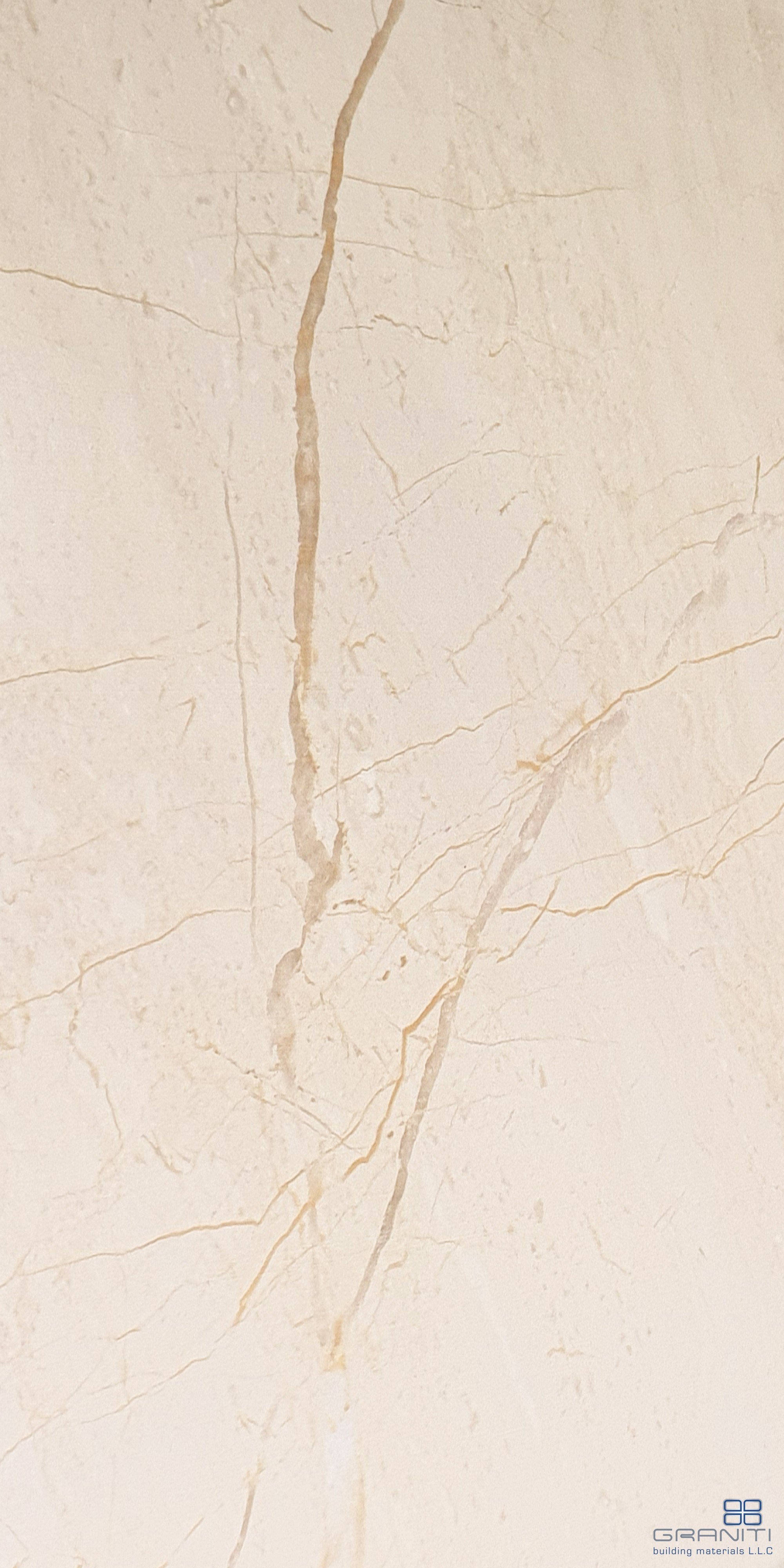 1-60169P3.jpg