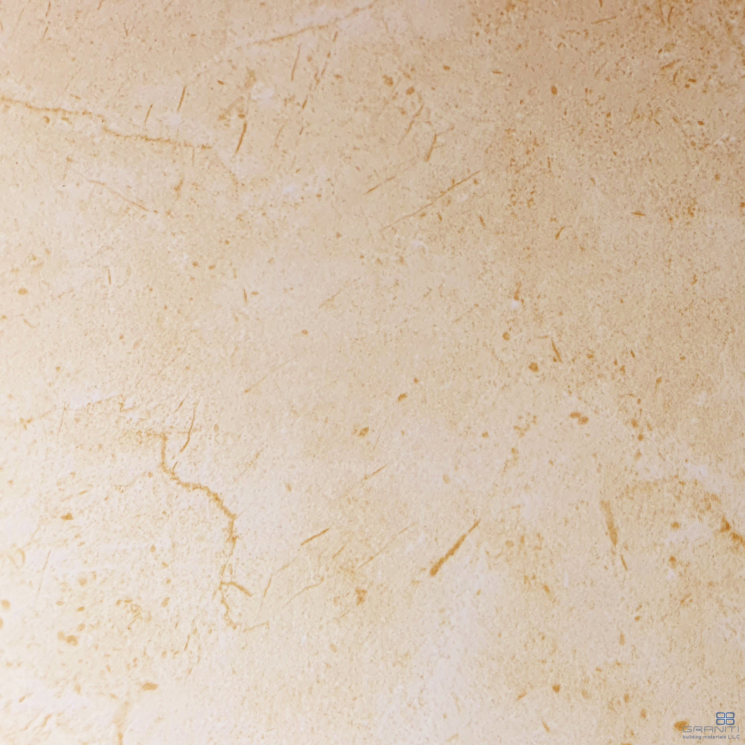PM6646B1.jpg