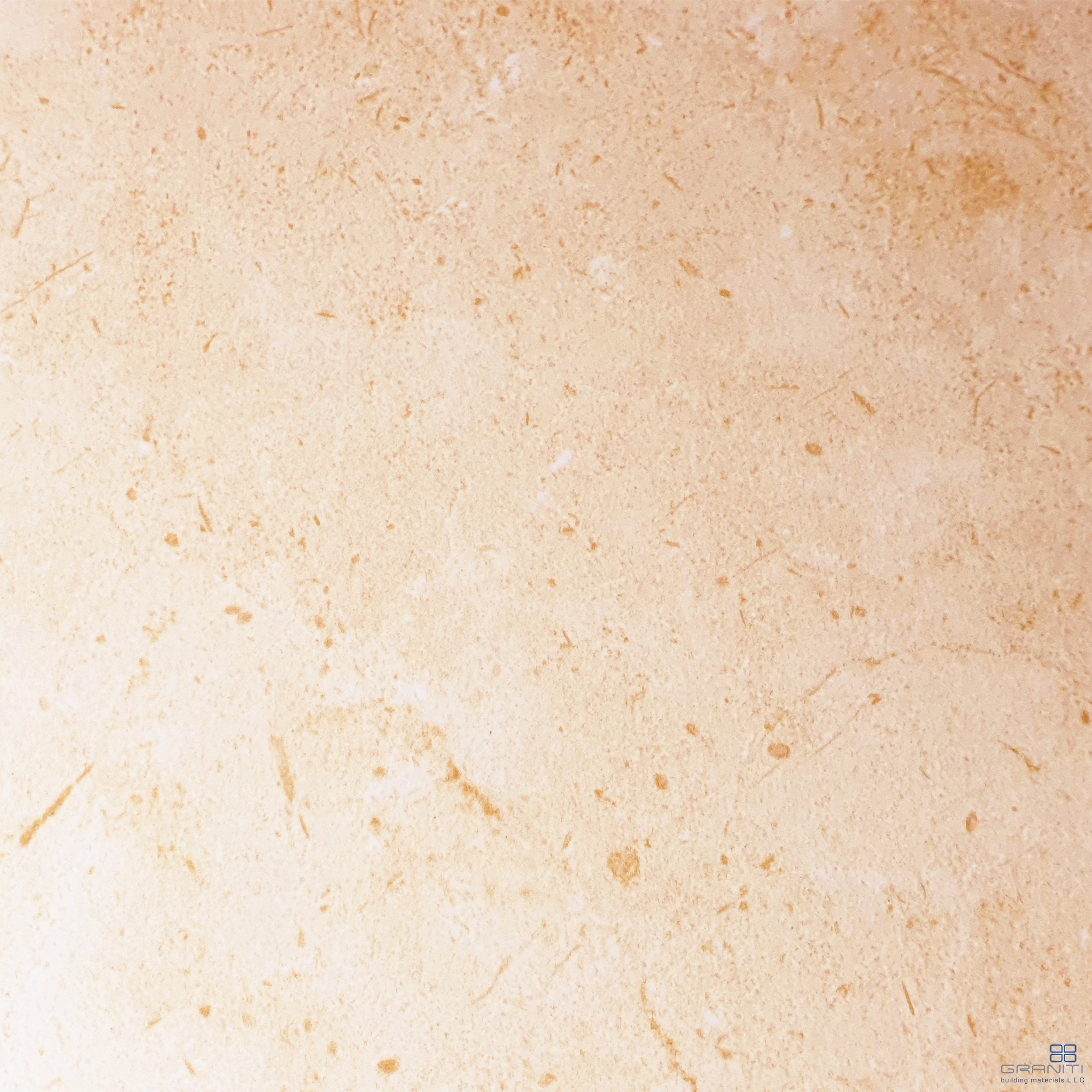 PM6646B2.jpg