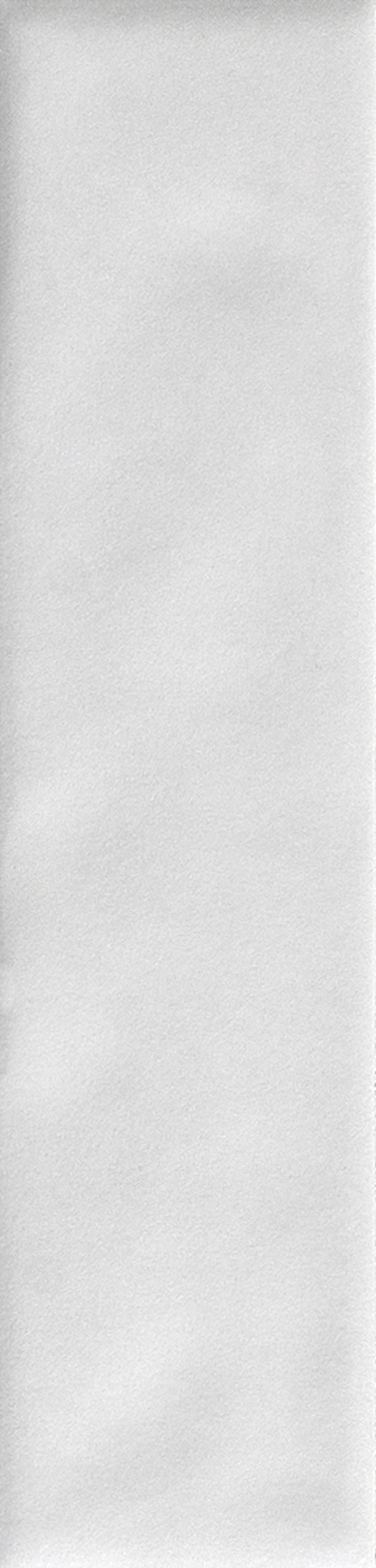 Color_Trend_White_6x25_matt_01.jpg