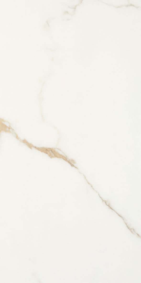 oro-bianco-60x120-nat_30923.jpg