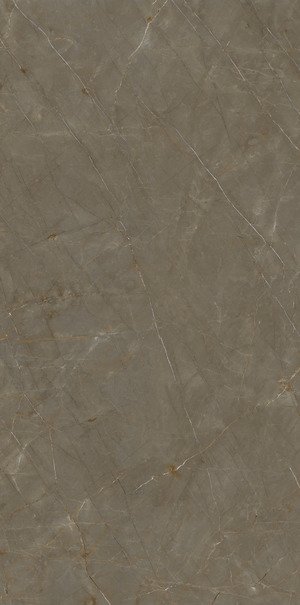PULPIS BRONZE
