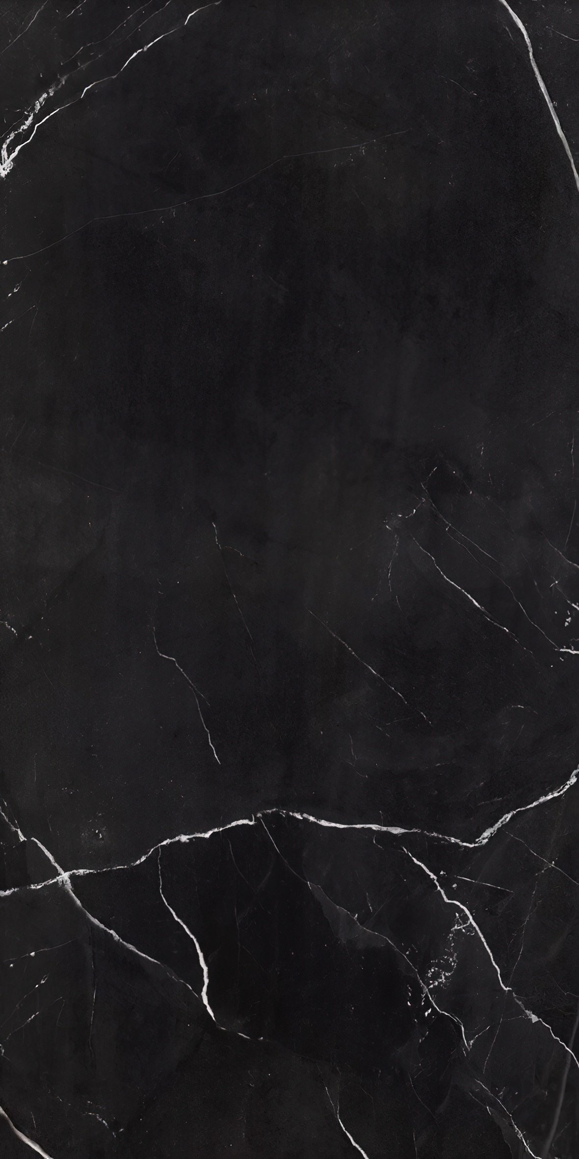 Black Supreme (3)-gigapixel-standard-scale-2_00x.jpeg