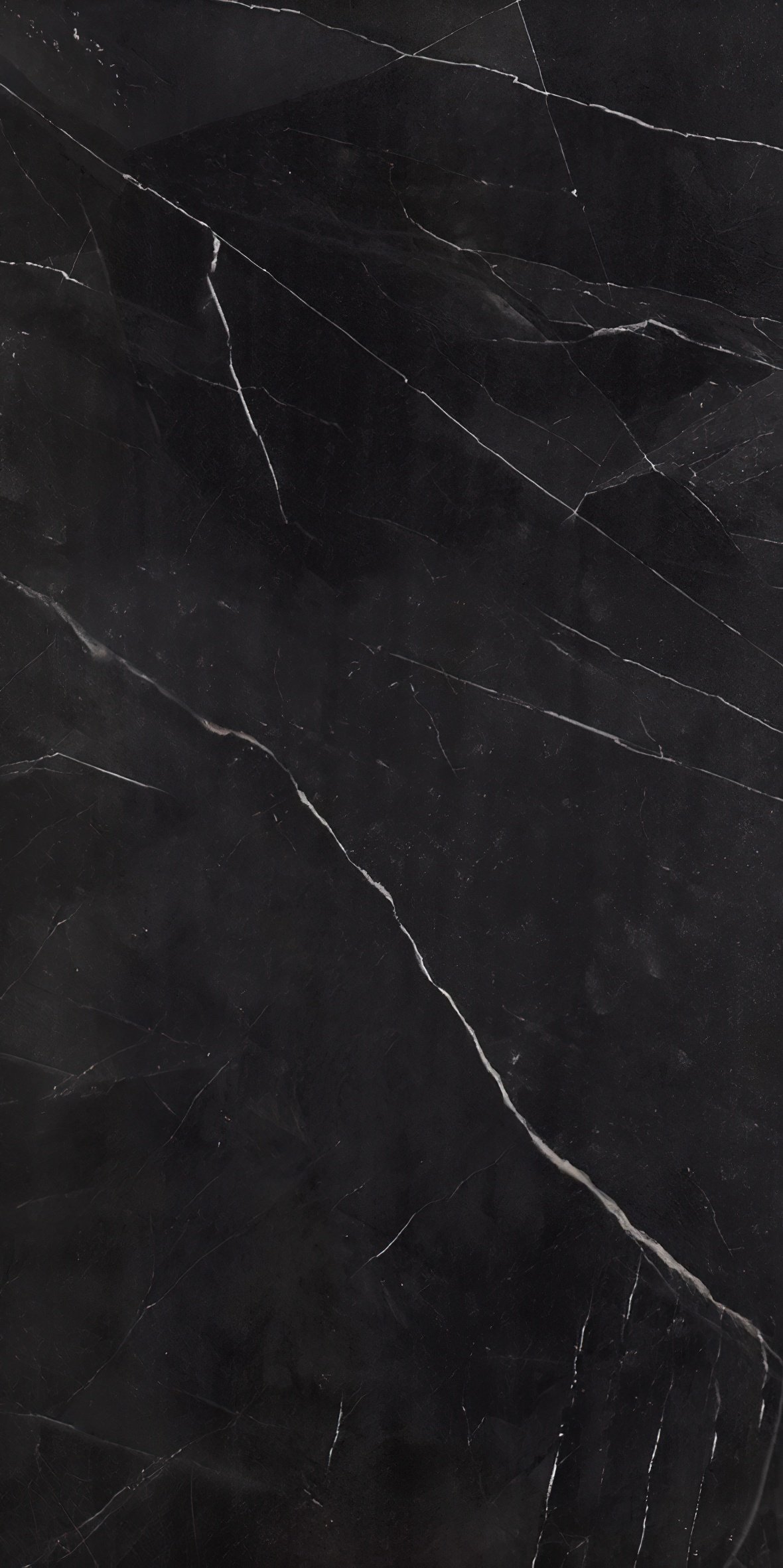 Black Supreme (1)-gigapixel-standard-scale-2_00x.jpeg