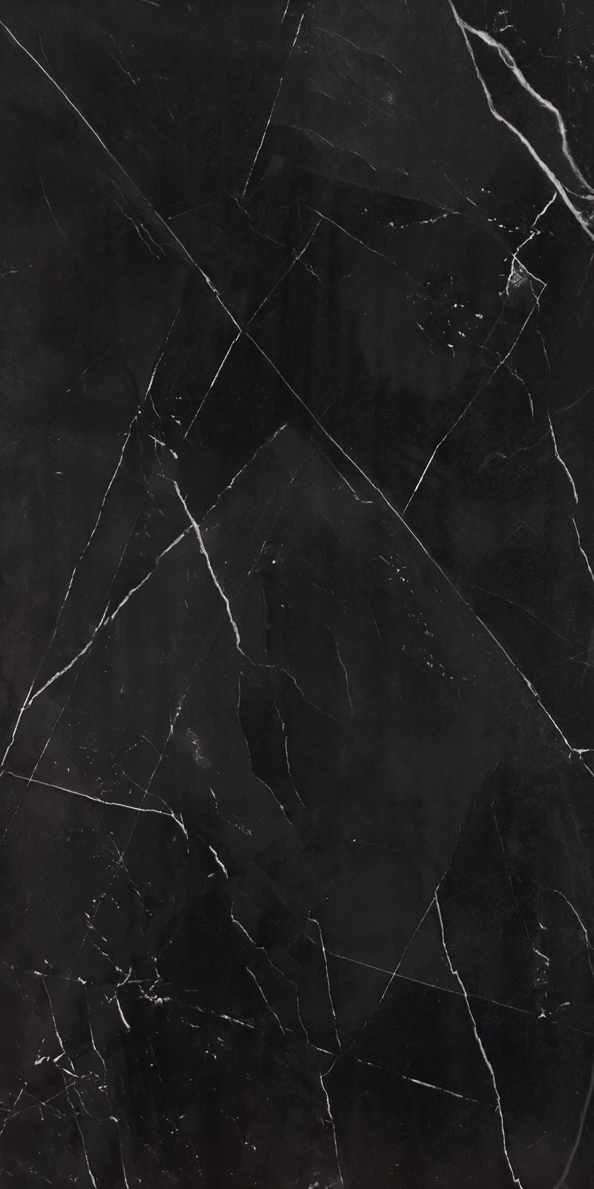 Black Supreme (7)-gigapixel-standard-scale-2_00x.jpeg