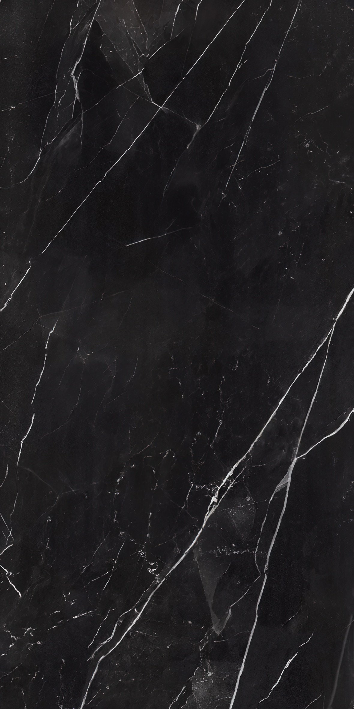 Black Supreme (5)-gigapixel-standard-scale-2_00x.jpeg