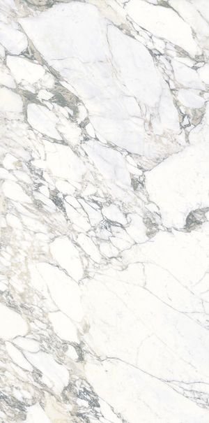 Marble+Effect+White+Floors-Arabescato+Statuario-02.jpg