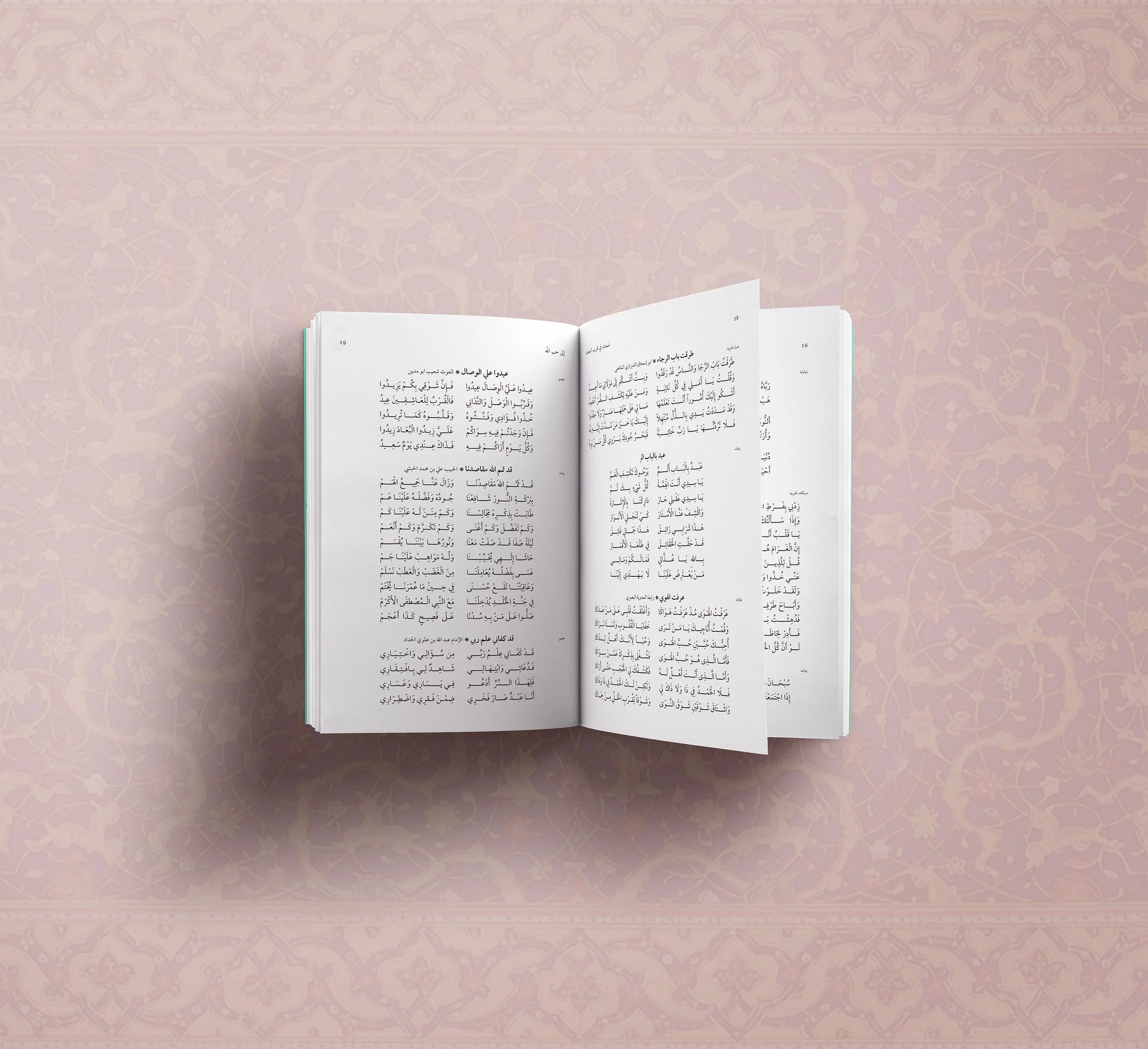 3 Full book spread.jpg