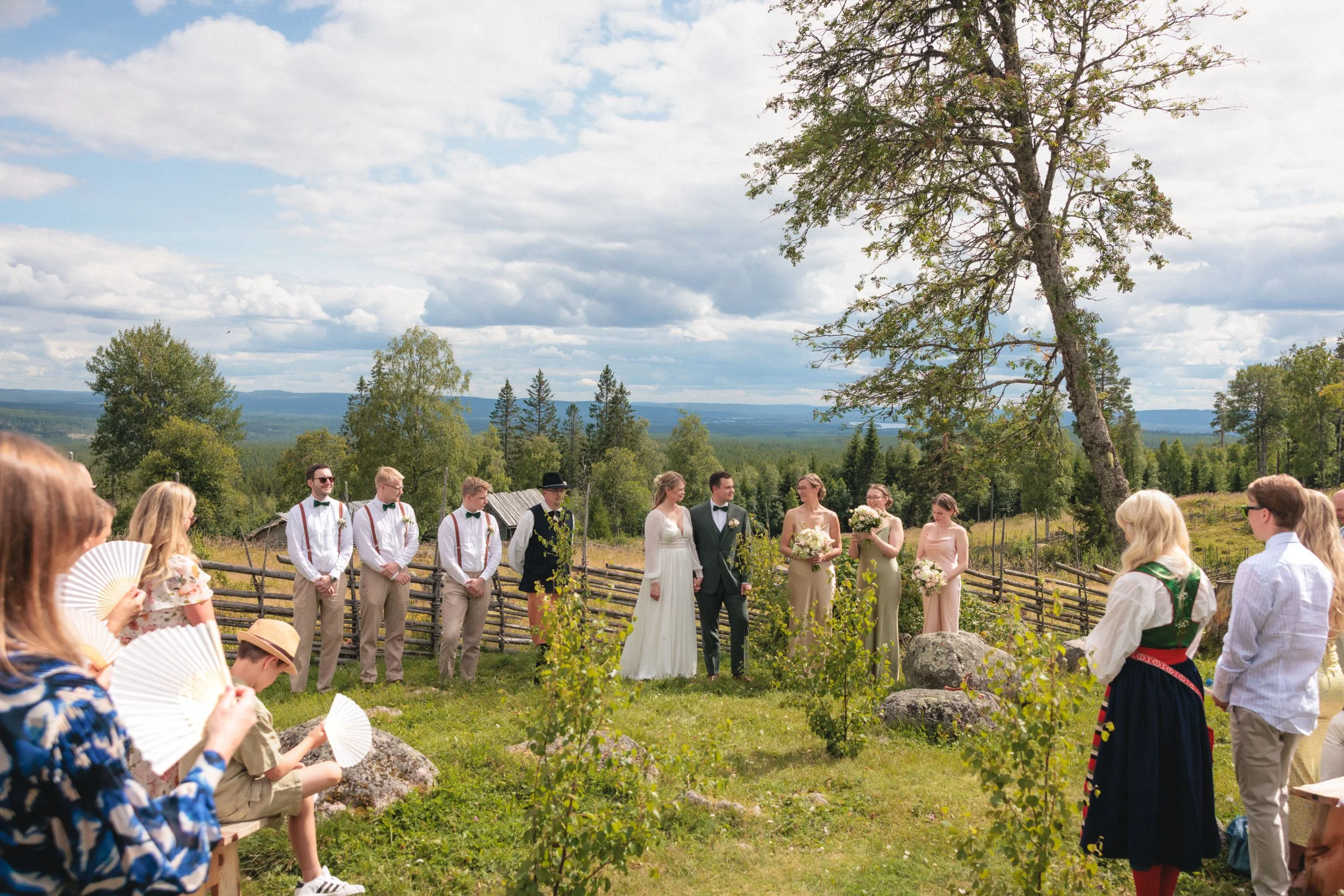 Brudpar och tärnor under en utomhusvigsel i ett öppet landskap med utsikt över skog och berg; information om det korta paketet för foto och film.