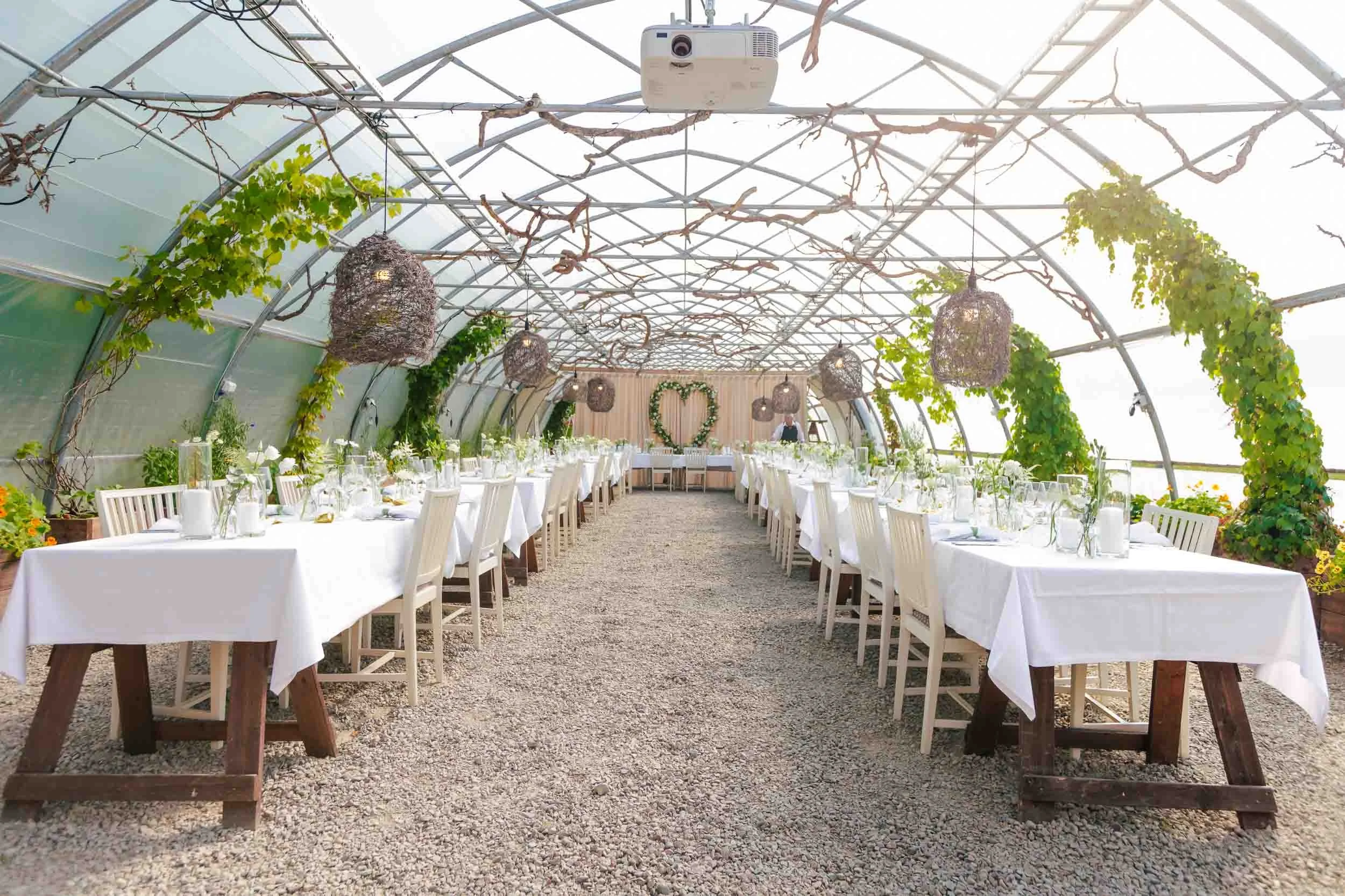 Bröllopsfoto Högbo Brukshotell – elegant festbord i växthus med vita dukar, gröna växter och vinrankor dekorerat för bröllop.