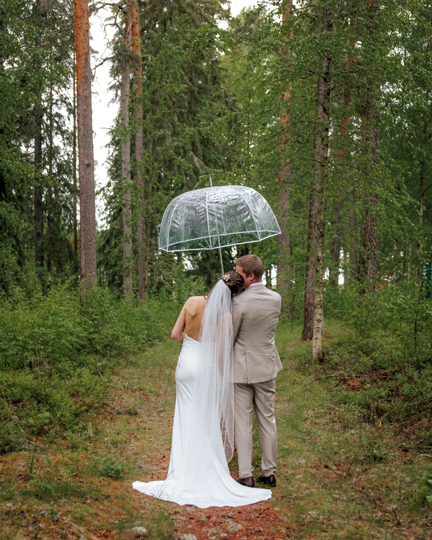 Brudpar bakifrån under genomskinligt bubbelparaply i grön sommarskog i regn