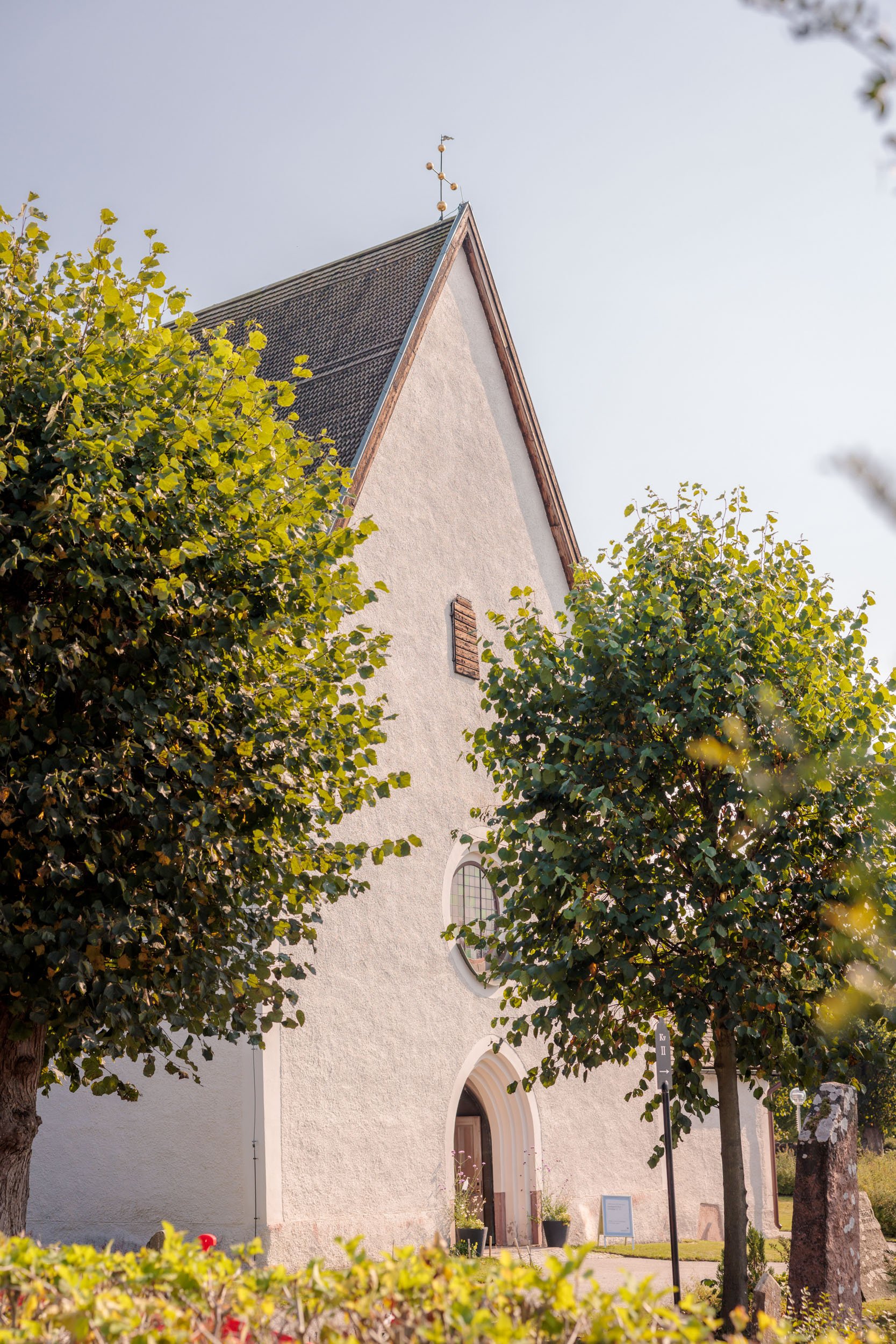 En vit kyrka med ett högt spetsigt tak, omgiven av två gröna träd och ett staket.
