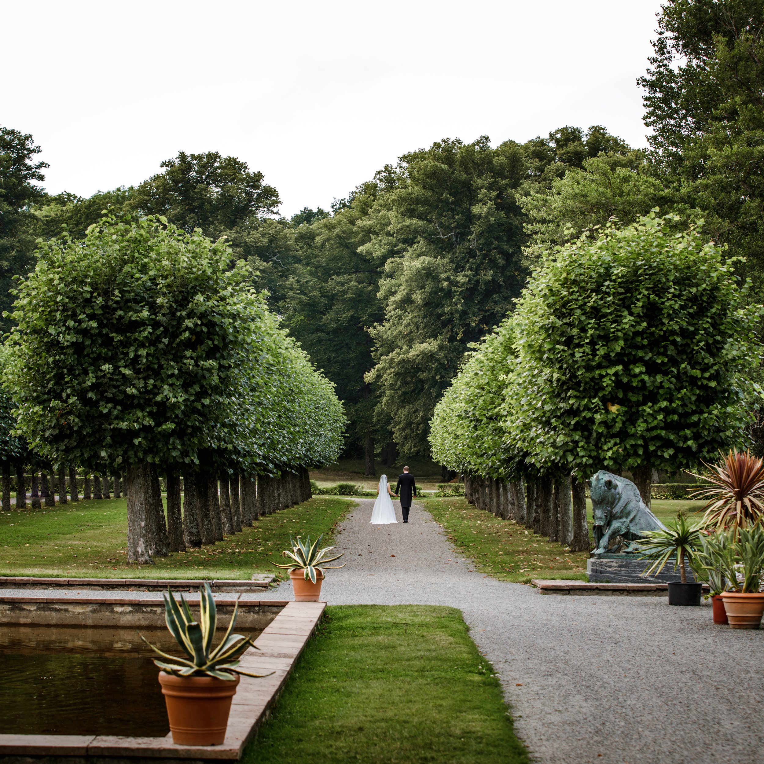 Bröllopspar i trädallé i Ulriksdals slottspark – bröllopsfoto Stockholm