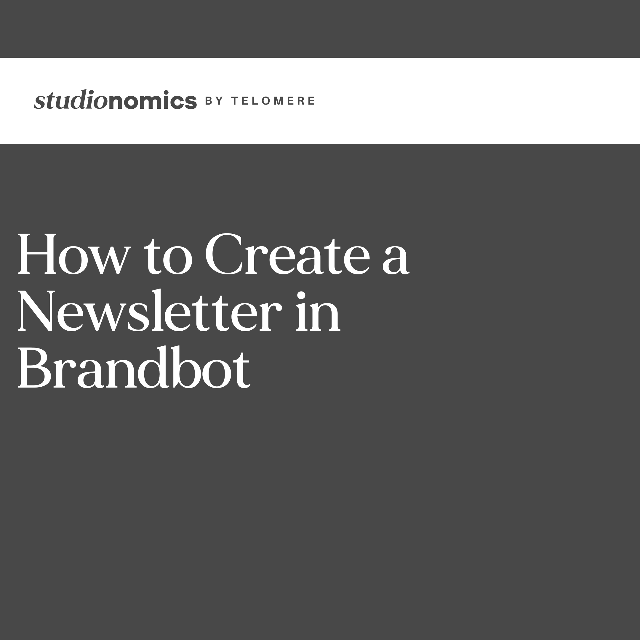 How to Create a Newsletter in Brandbot