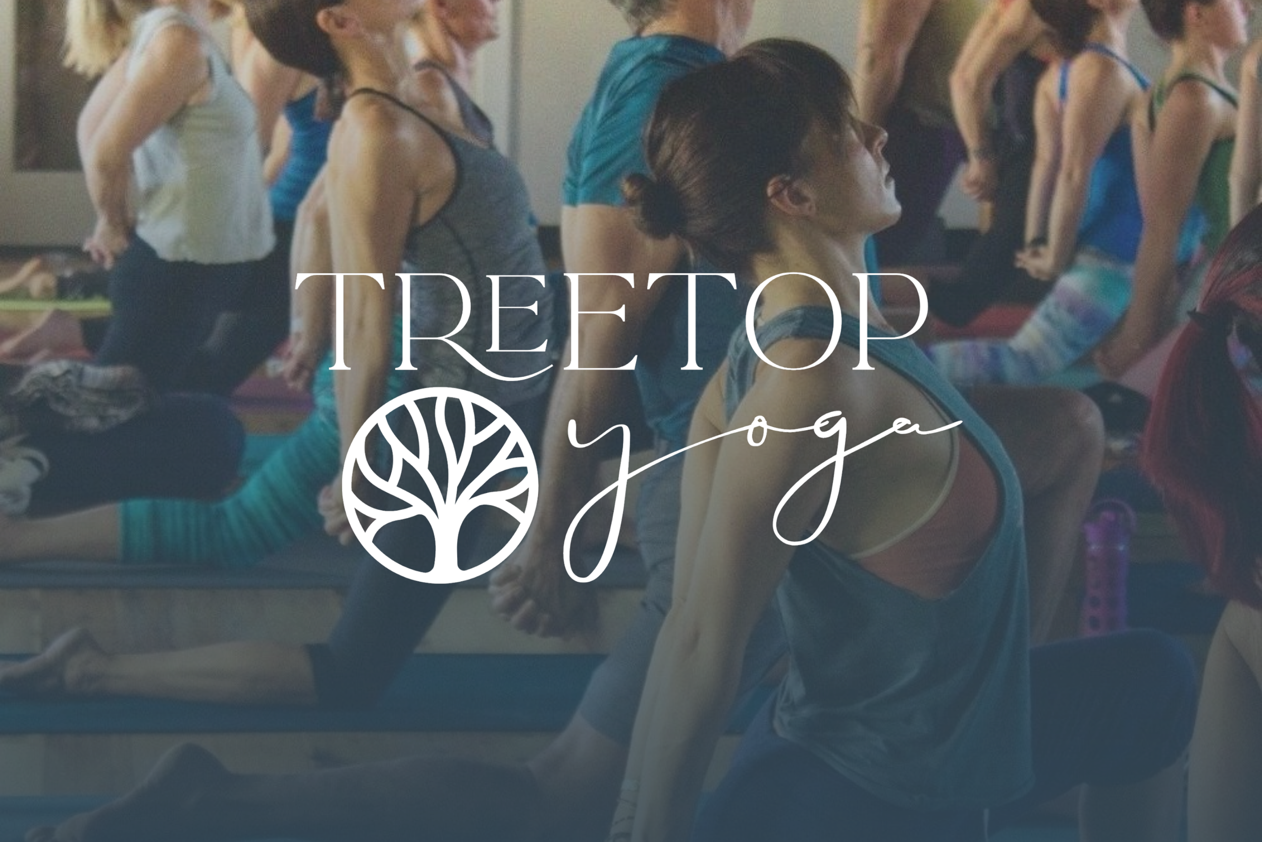 The Retreat Effect: How Treetop Yoga Turned a Passion into Meaningful Revenue