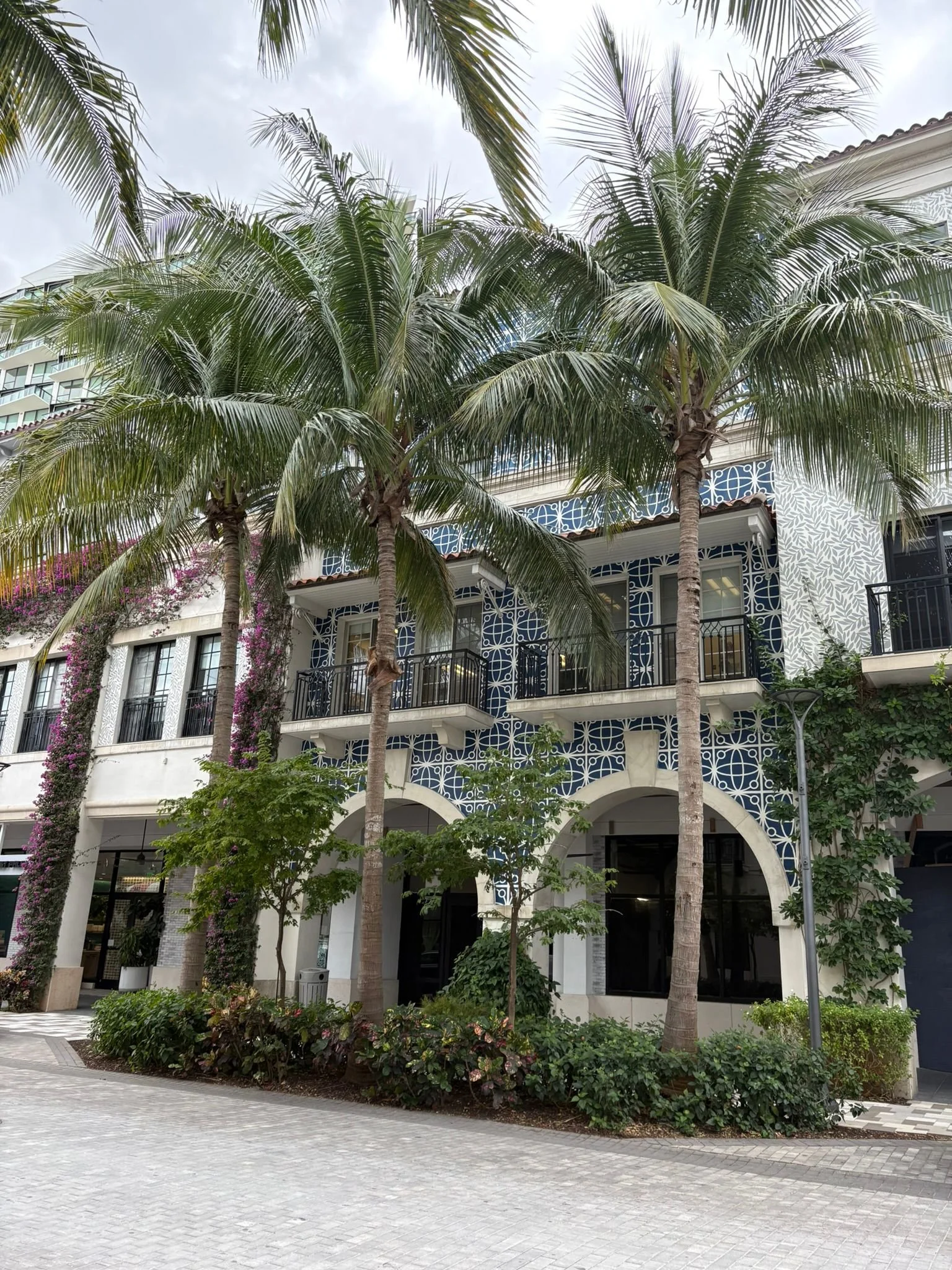 WhatsApp Image 2026-02-02 at 09.55.05 (2).jpeg