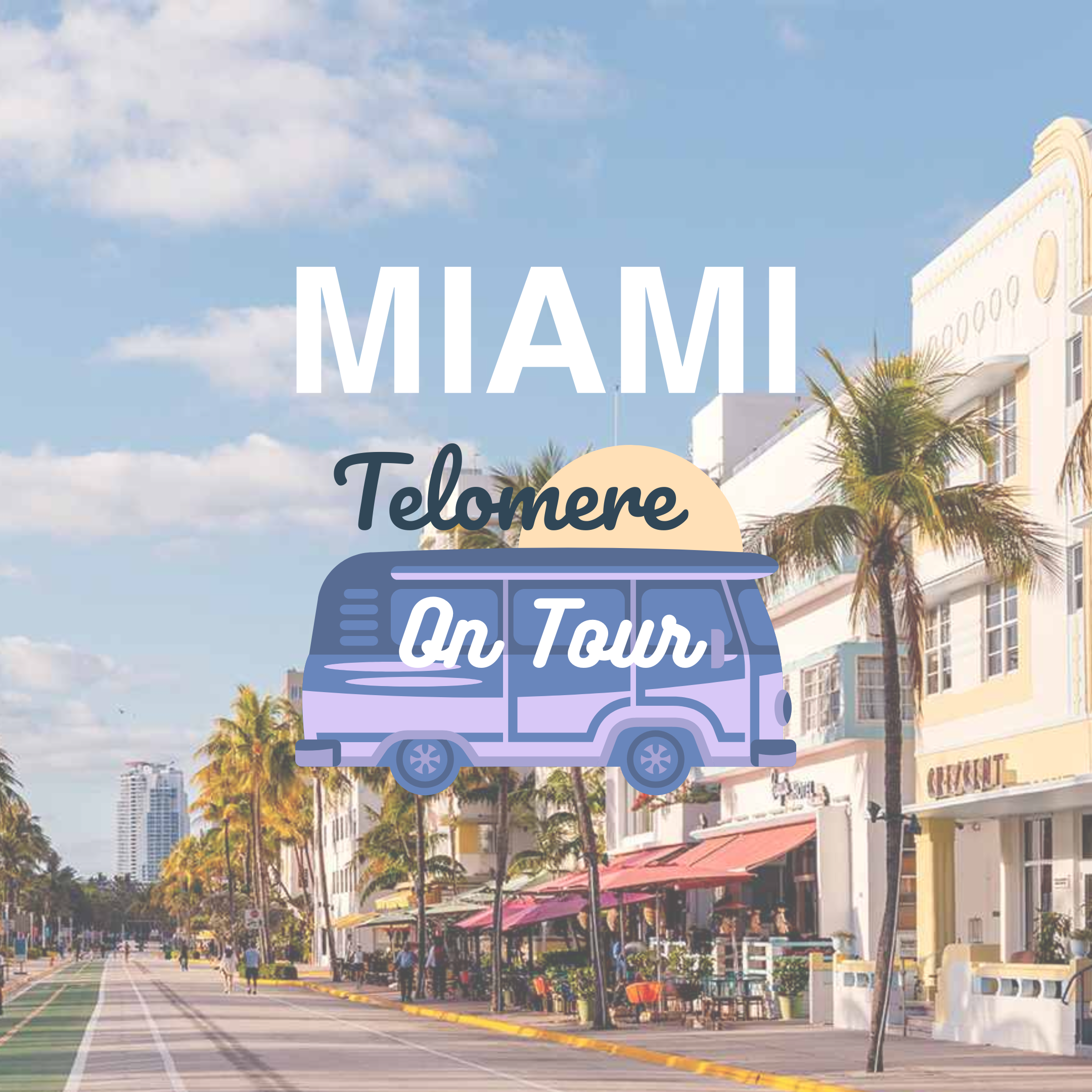 Miami Boutique Fitness Market Analysis