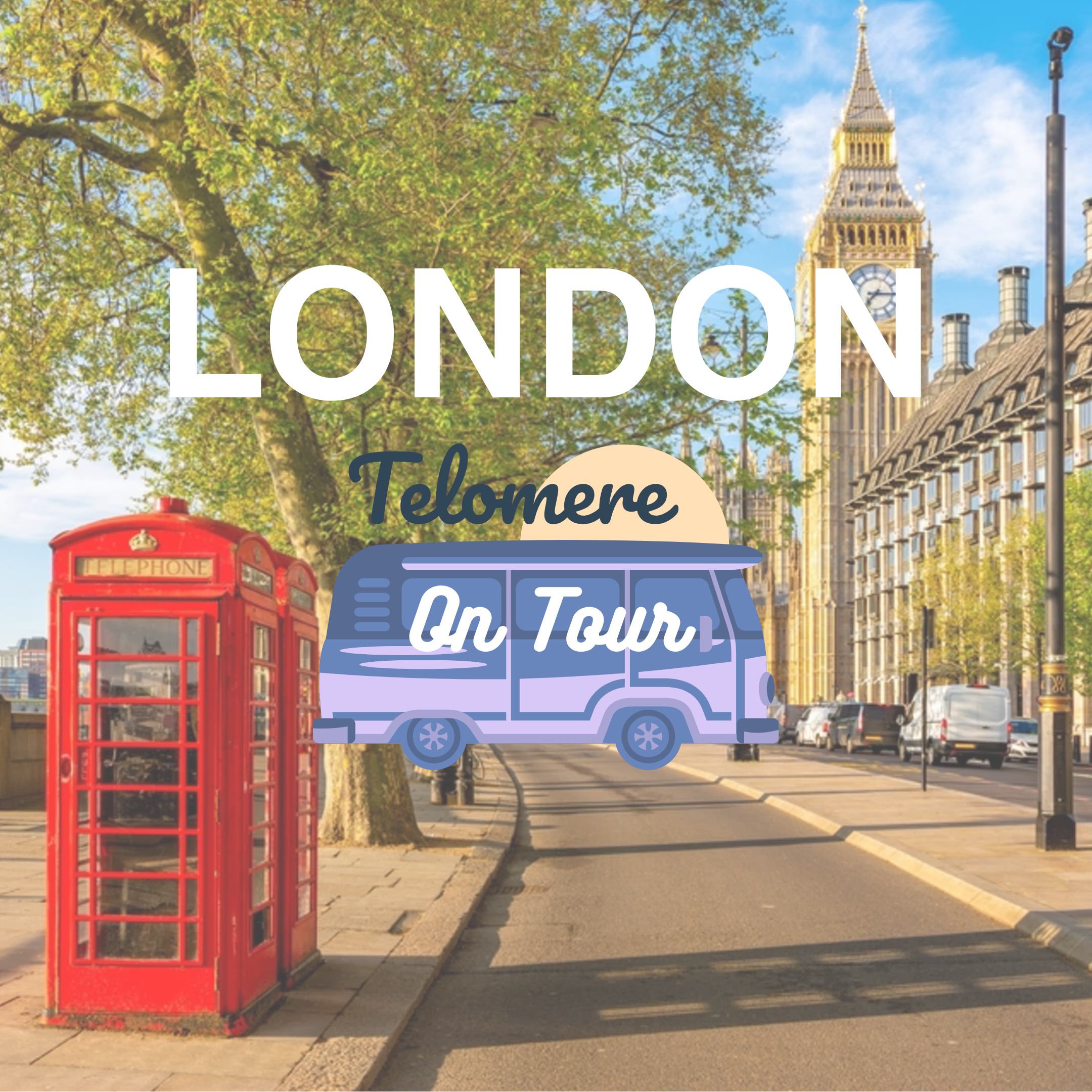 The London Boutique Fitness Market