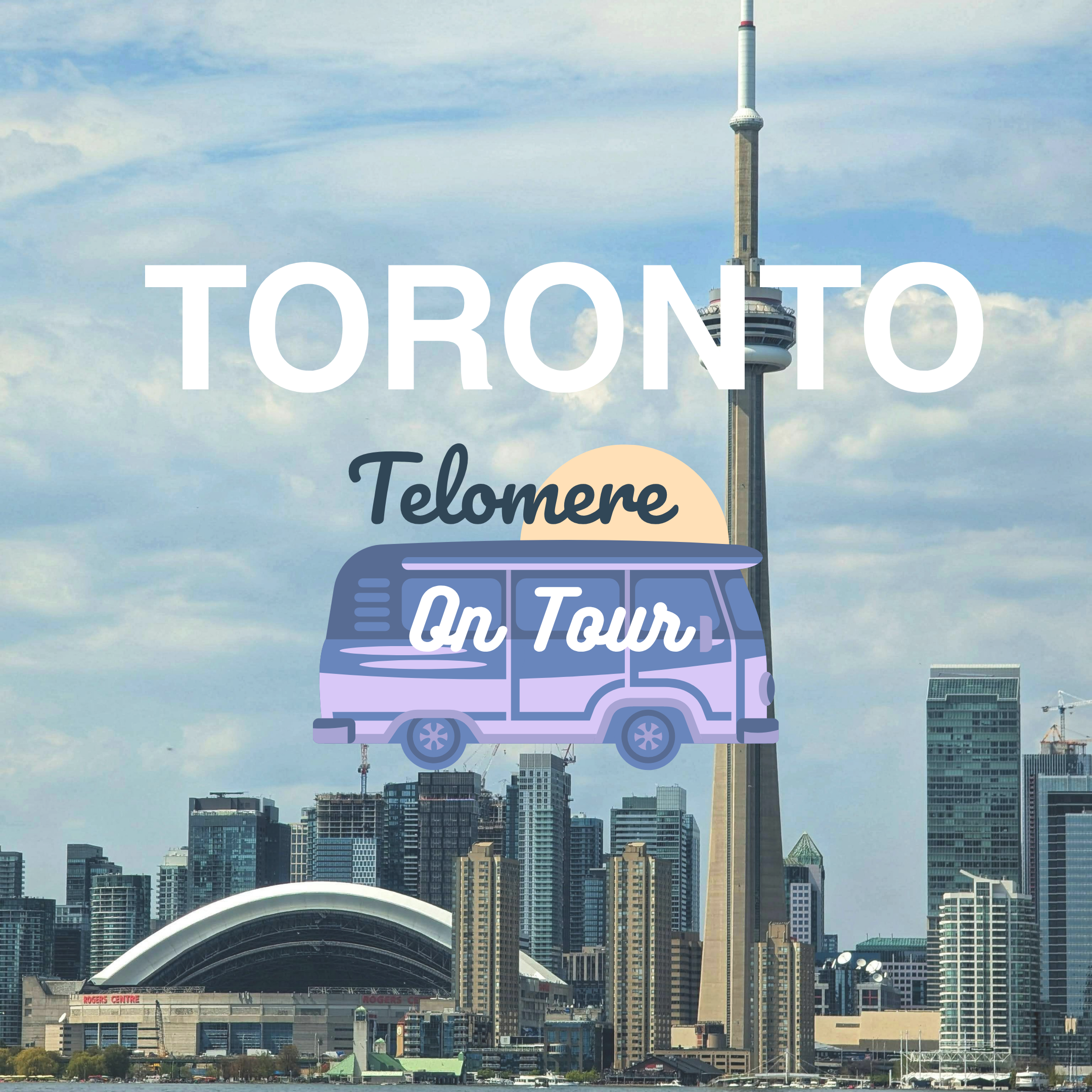 Toronto's Boutique Fitness Market: What the Numbers Are Telling Us in 2026