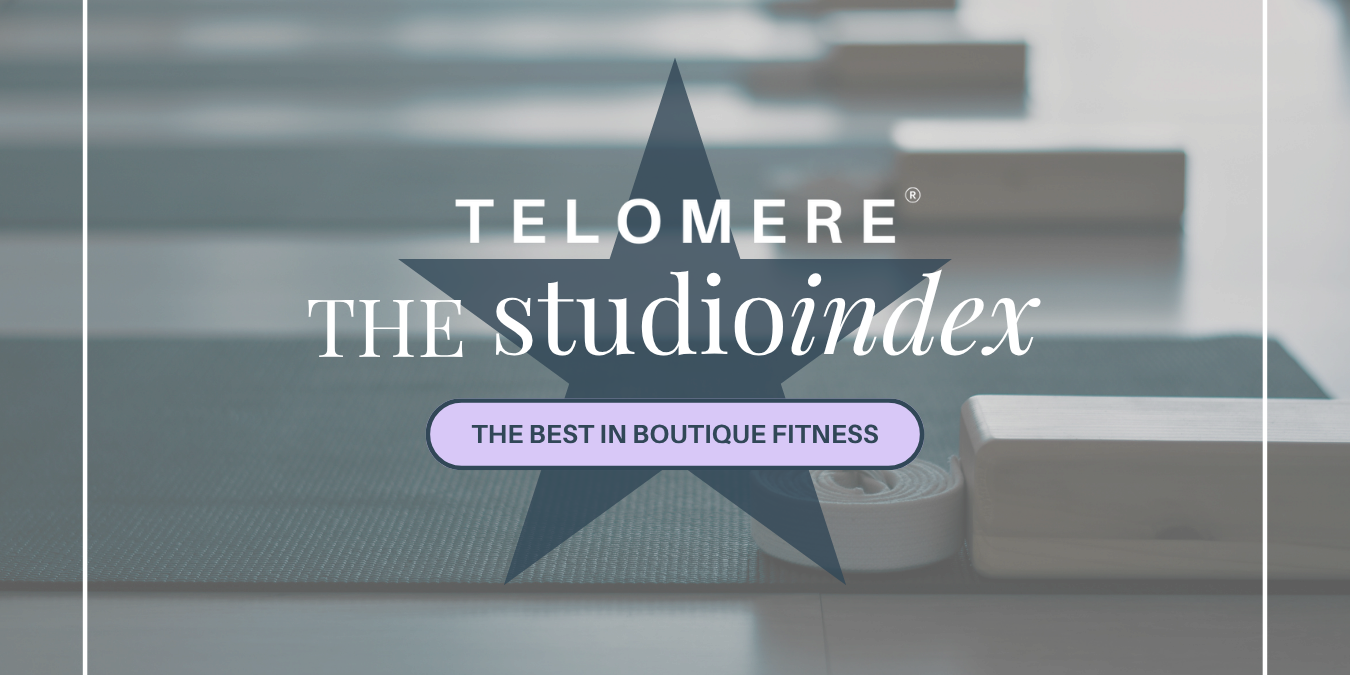 The Telomere Studio Index: What Actually Predicts Studio Success?