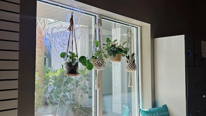 window.jpg