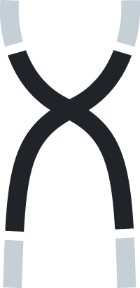 Icon of a dark telomere with light ends