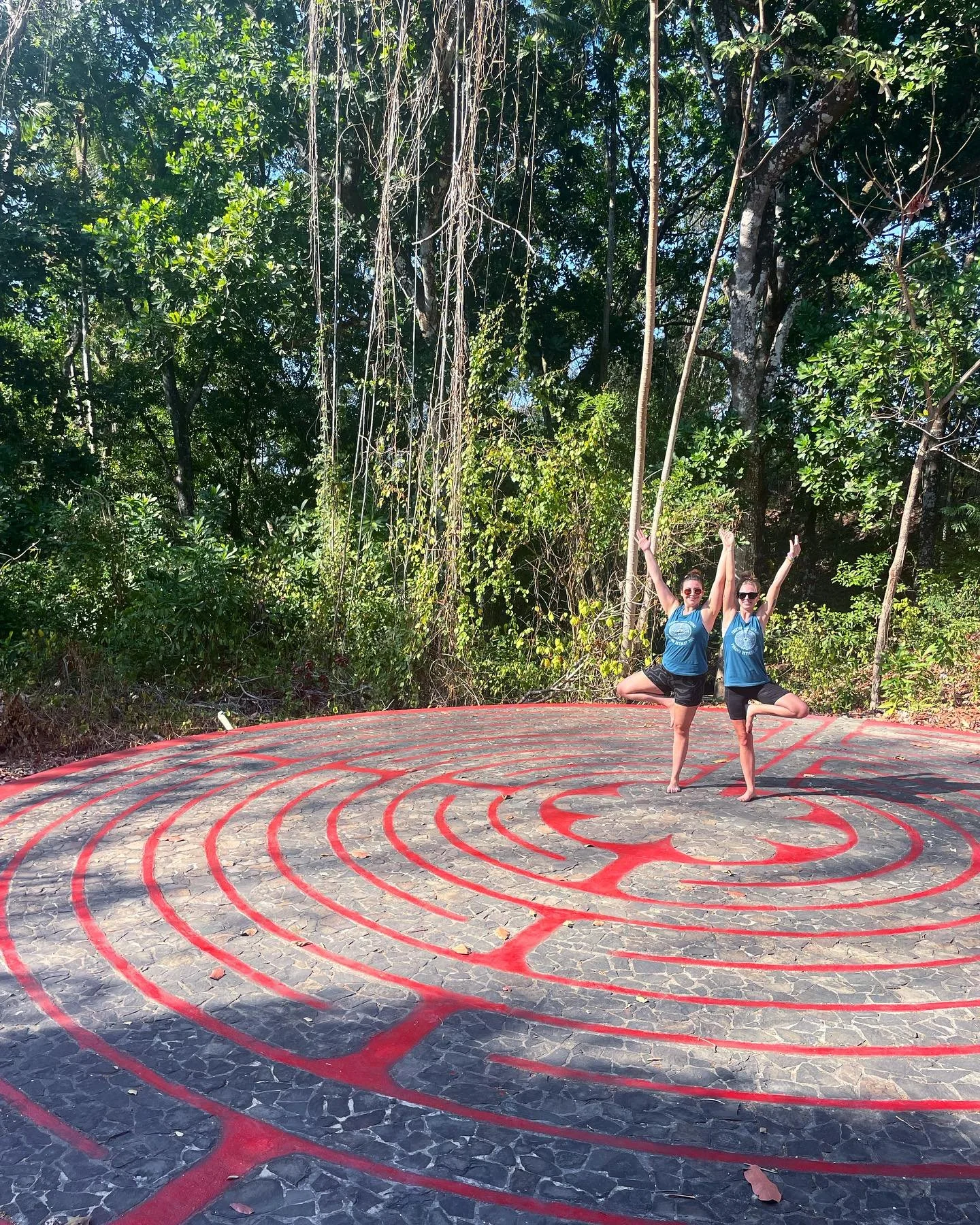 Treetop Yoga's retreat in Panama