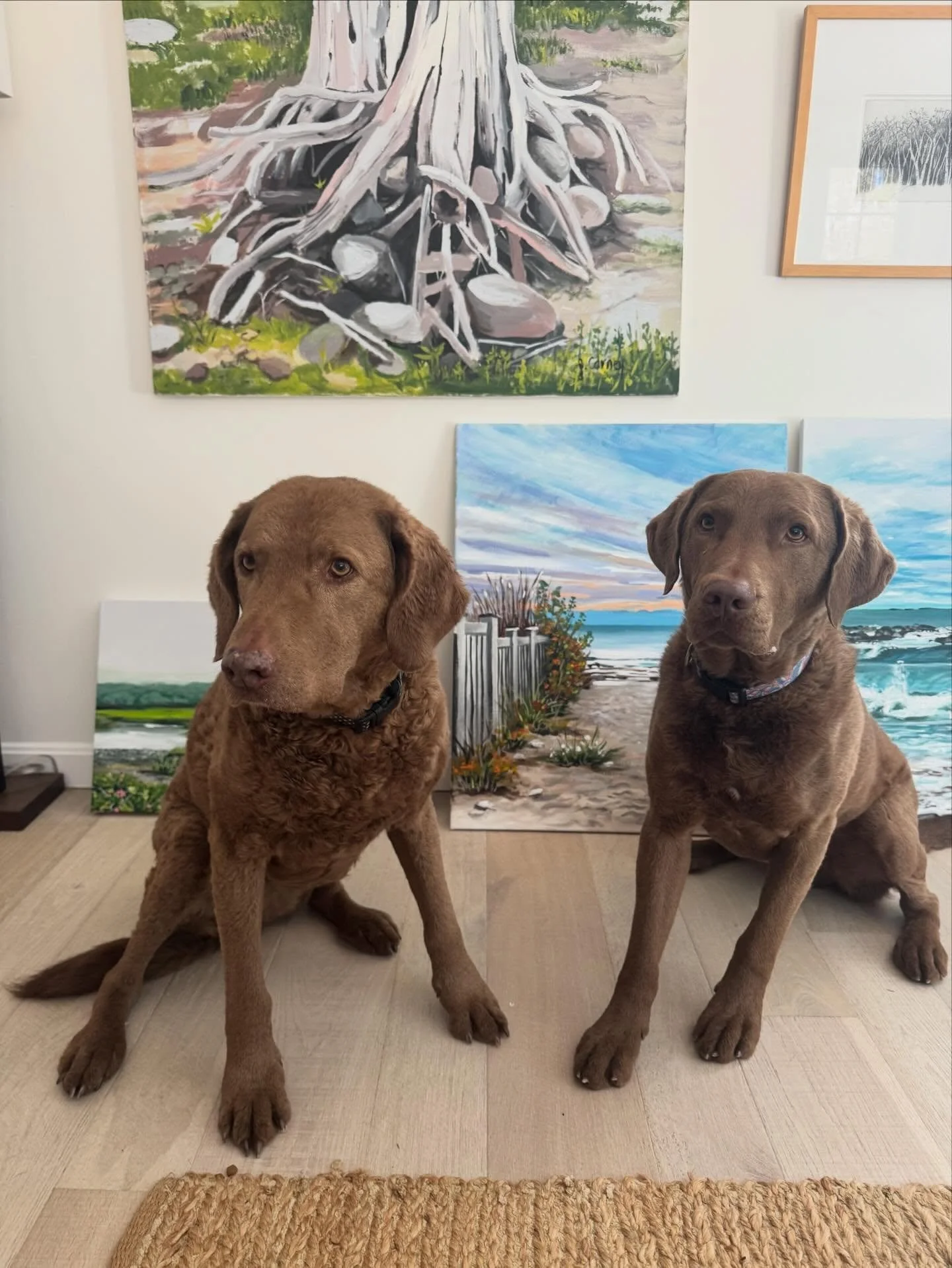 Beach Dog Studio has been busy producing! New work coming soon to my site.