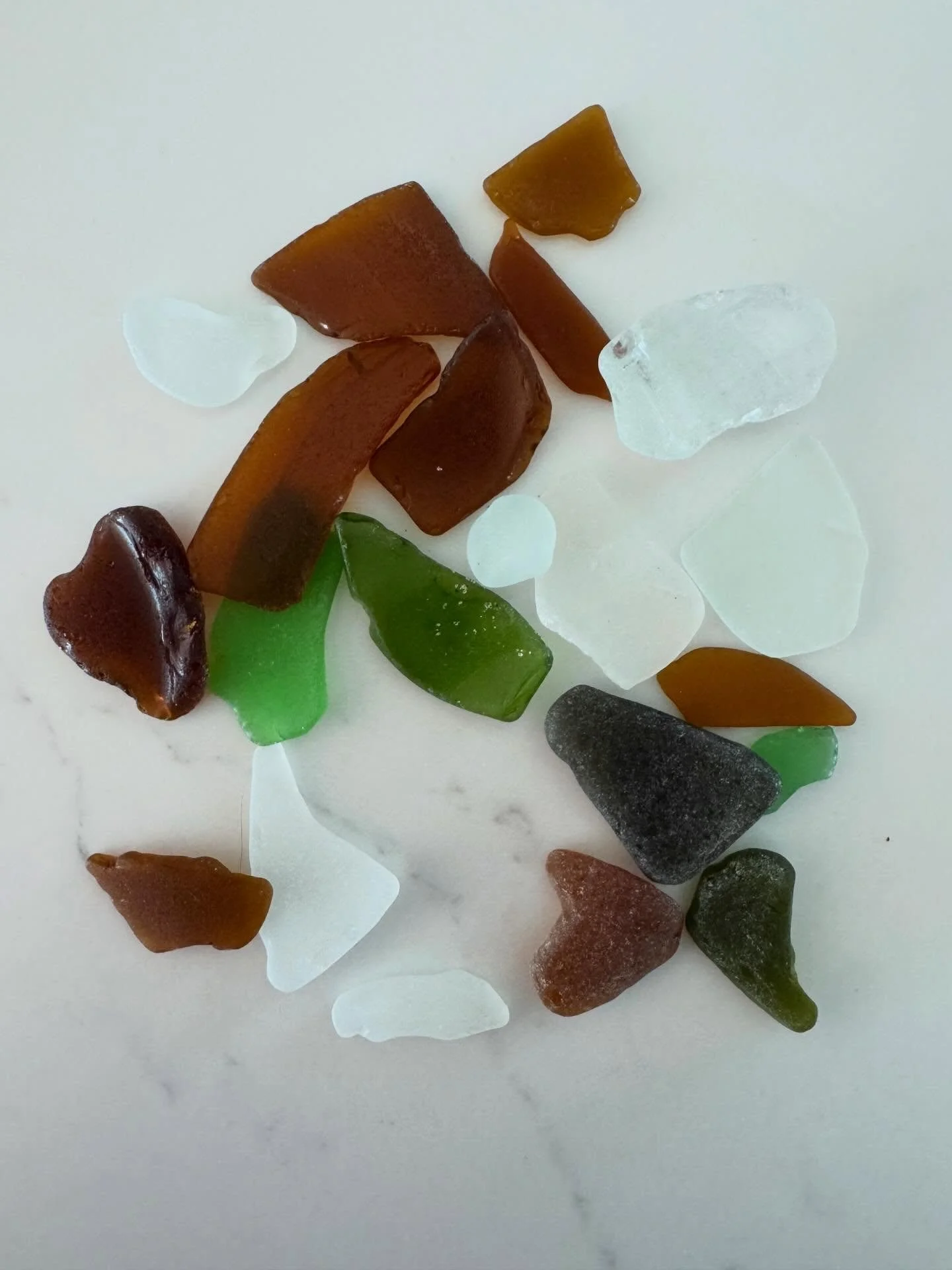 Today&rsquo;s sunny bounty