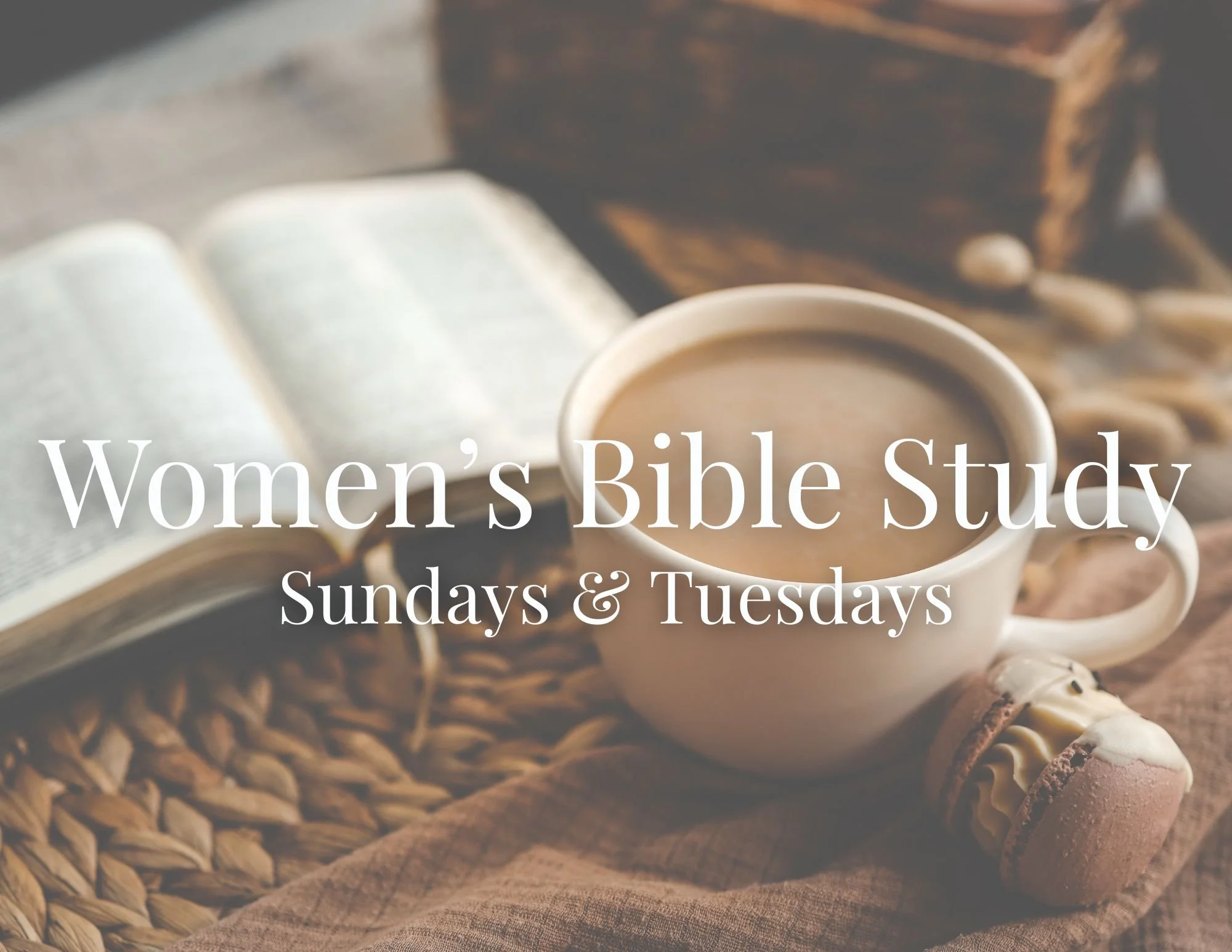 Social Media  (14).jpg