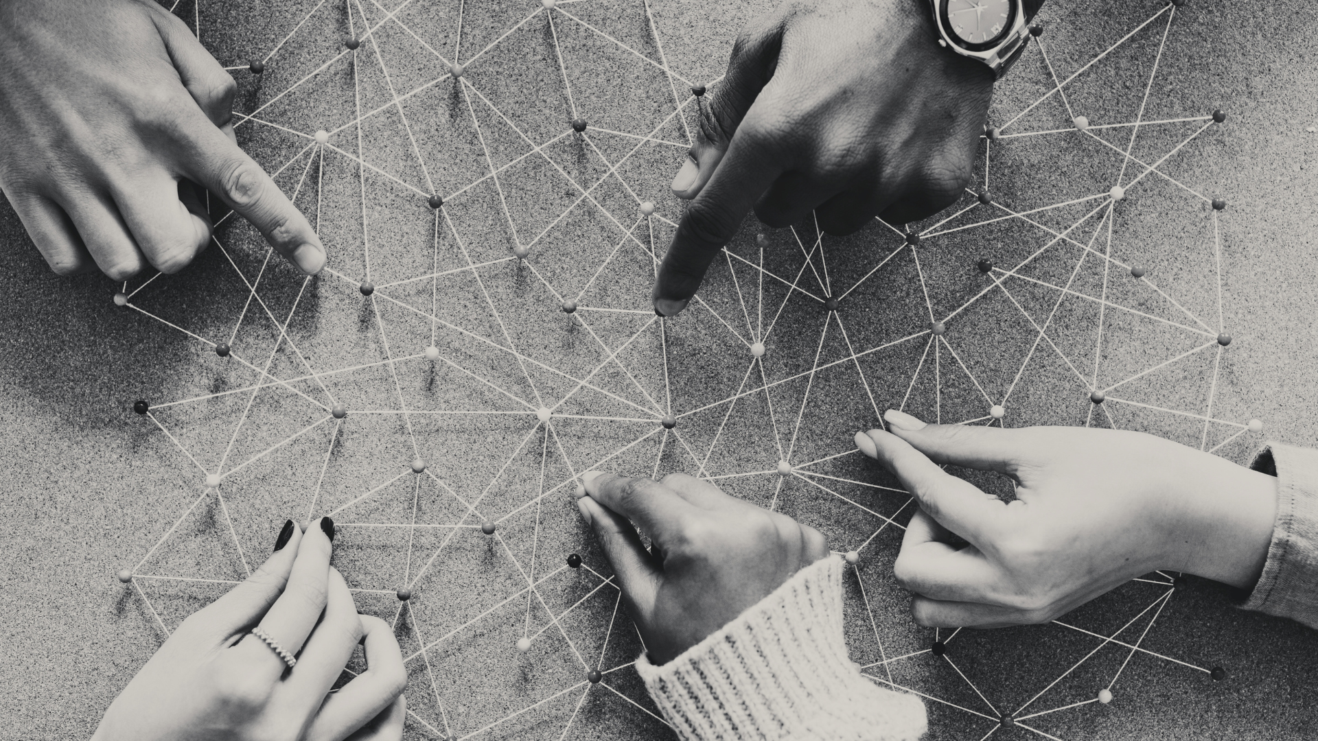 The Fragility of Belonging:&nbsp;Why safety, solidarity, and unity are leadership choices in 2026