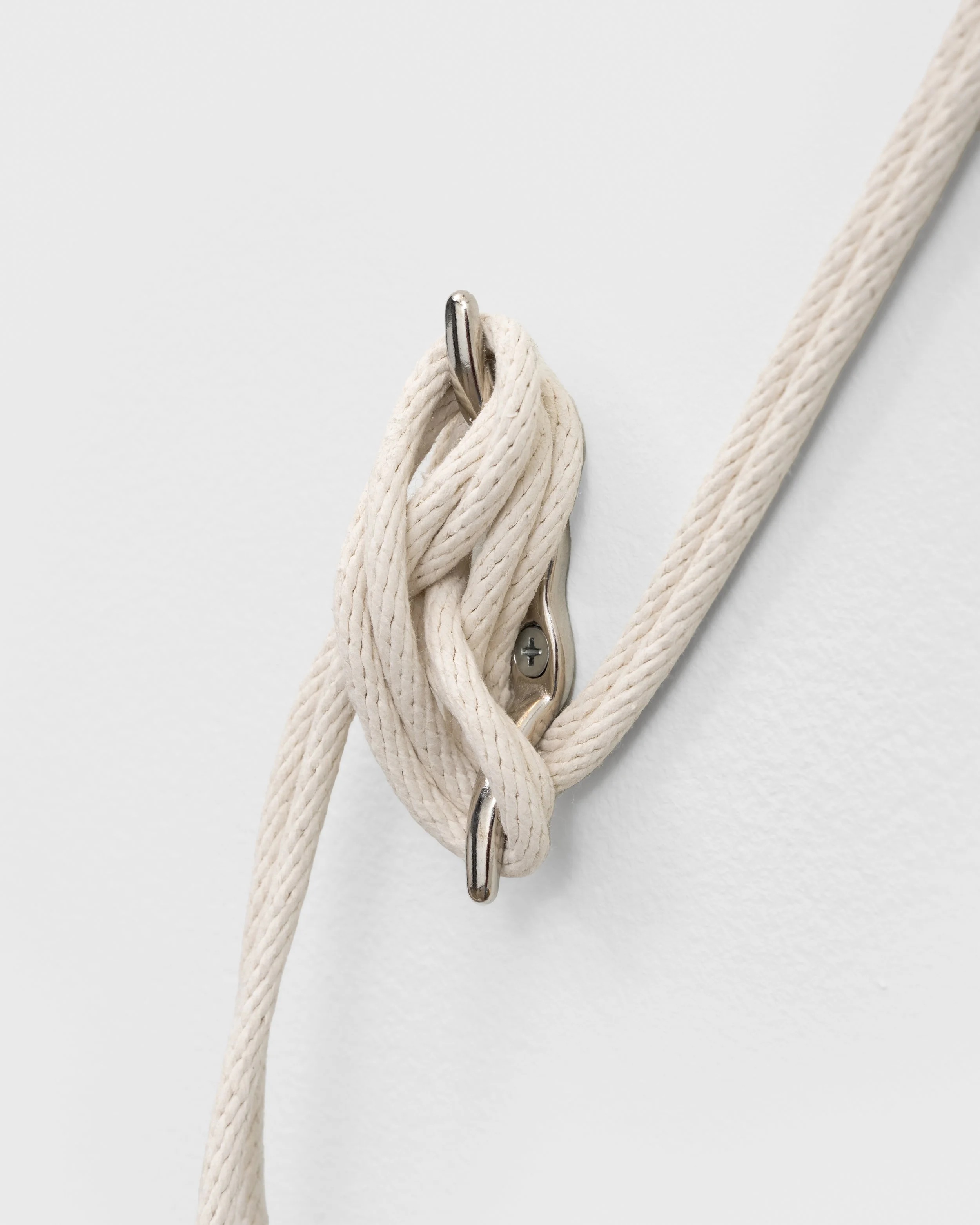 Manifestation Detail