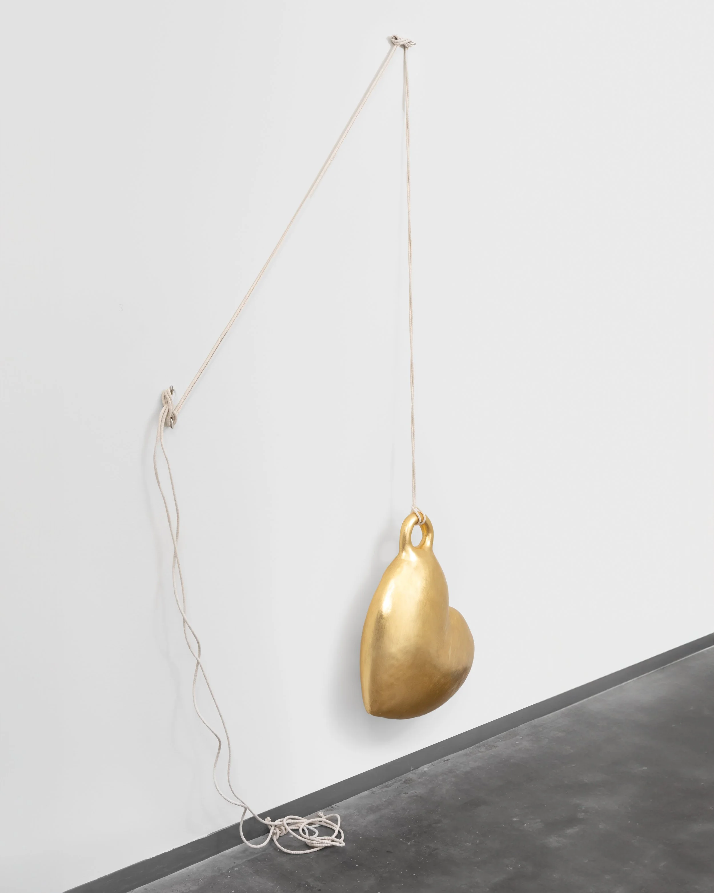 Manifestation Detail