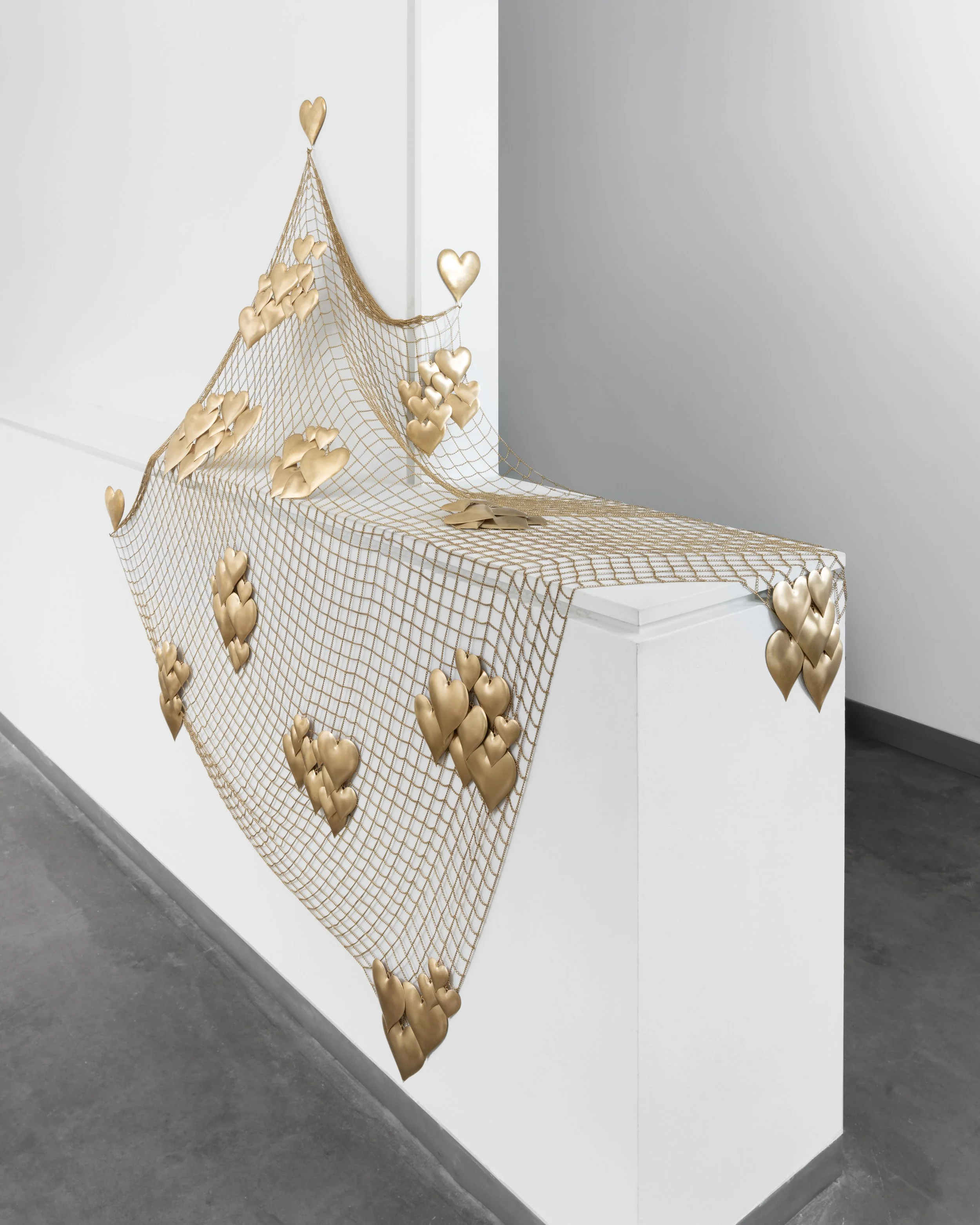 Catch (& Release) Detail