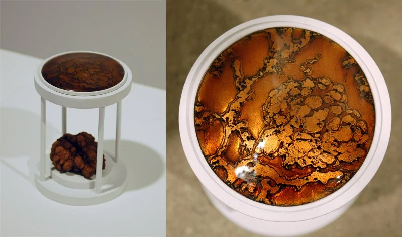 04 Optic v. Haptic I.jpg