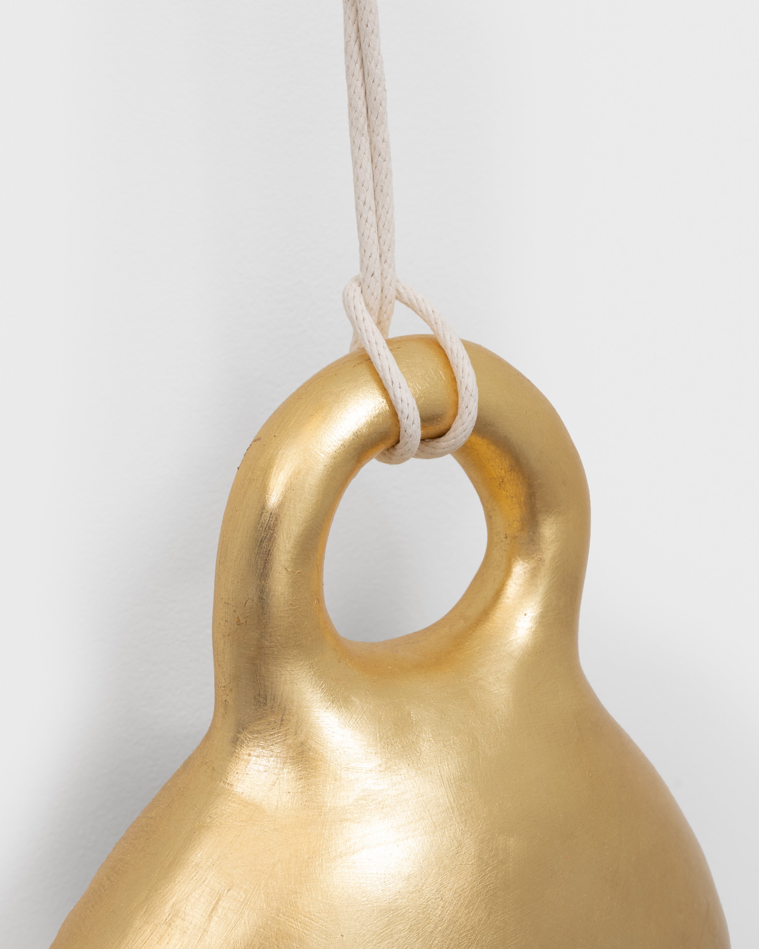 Manifestation Detail