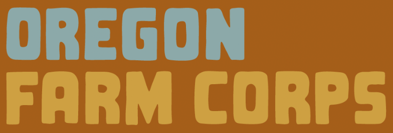 Screen Shot 2026-03-02 at 4.37.39 PM.png