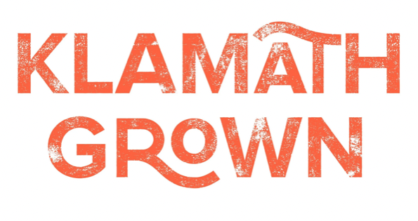 Screen Shot 2026-03-02 at 3.09.10 PM.png