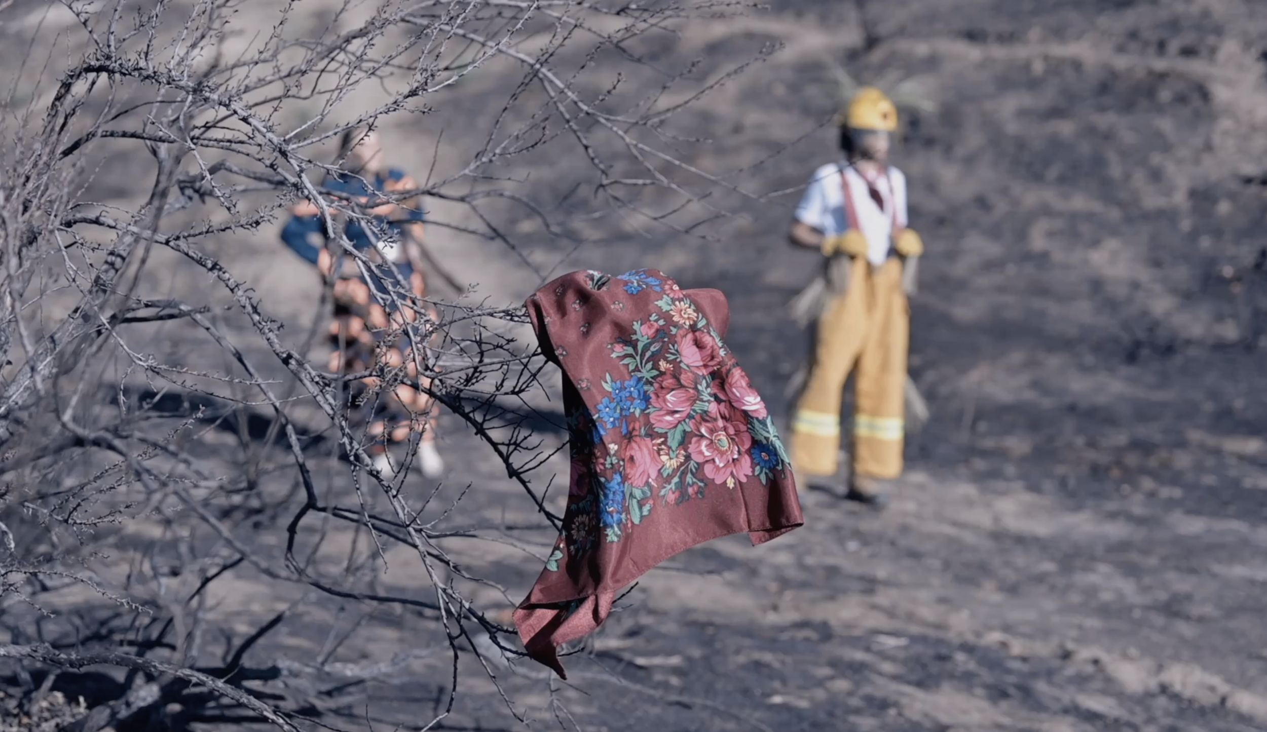 Screenshot 2025-12-21 at 2.46.28 PM.png