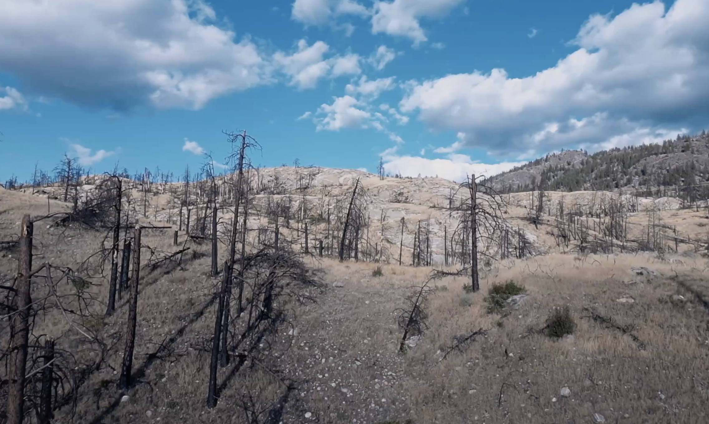 Screenshot 2025-12-21 at 2.37.14 PM.png