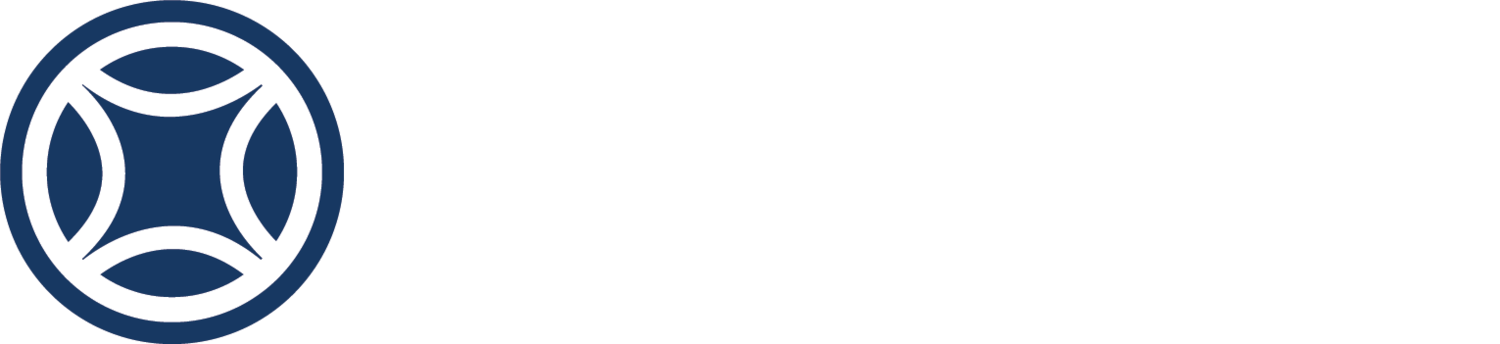 Gemini Technology Solutions