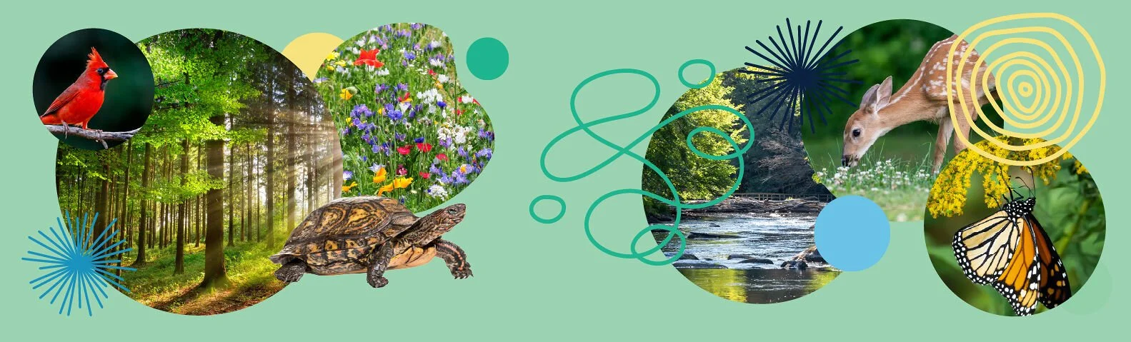 Nature in Our Neighborhood - March