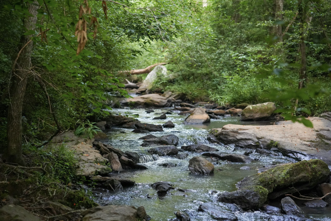 Nature In Our Neighborhood