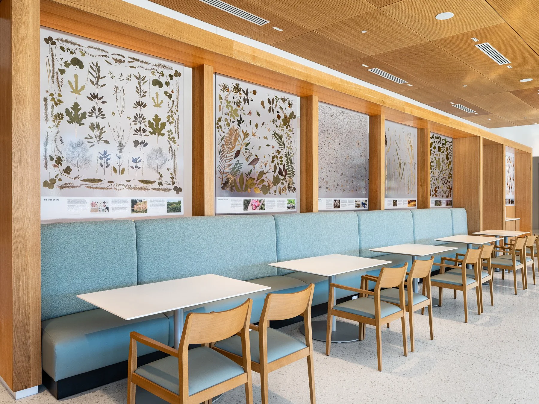 Sassafras Cafe interior banquette and pressed-plant specimen panels by Tao + Lee Associates - architectural photographer St. Louis Missouri