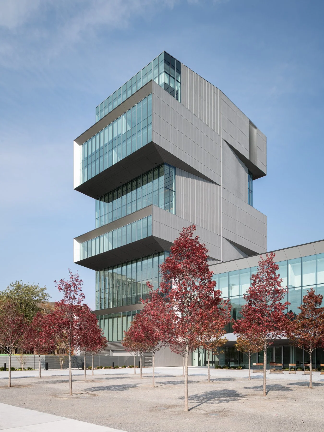 David Rubenstein Forum tower over red-leaved trees in a gravel court, landscape by Site Design Group - architectural photographer Chicago Illinois