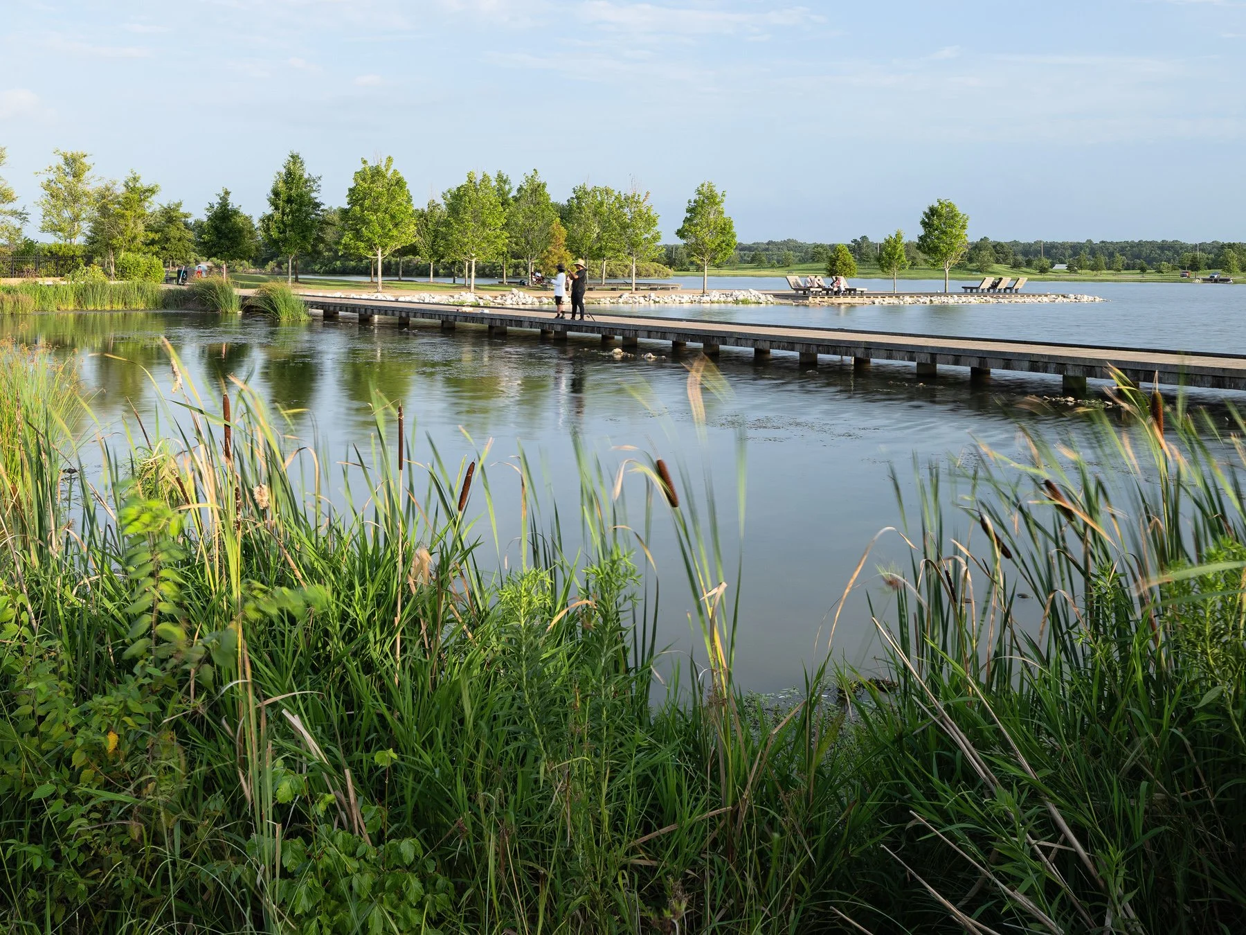 Shelby Farms Park boardwalk over the cattail wetland, landscape by James Corner Field Operations - architectural photographer Memphis Tennessee