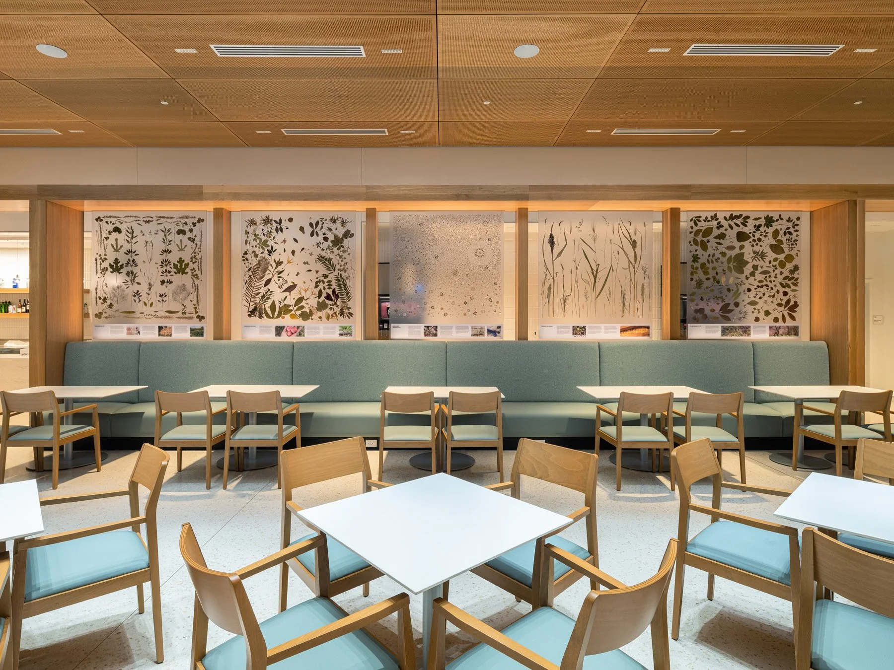 Sassafras Cafe sage banquette and five pressed-plant specimen panels by Tao + Lee Associates - architectural photographer St. Louis Missouri