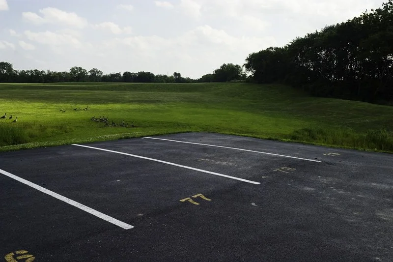 Empty asphalt parking lot with painted stall lines beside a manicured retention lawn with Canada geese and distant treeline, Chicago Illinois exurbs