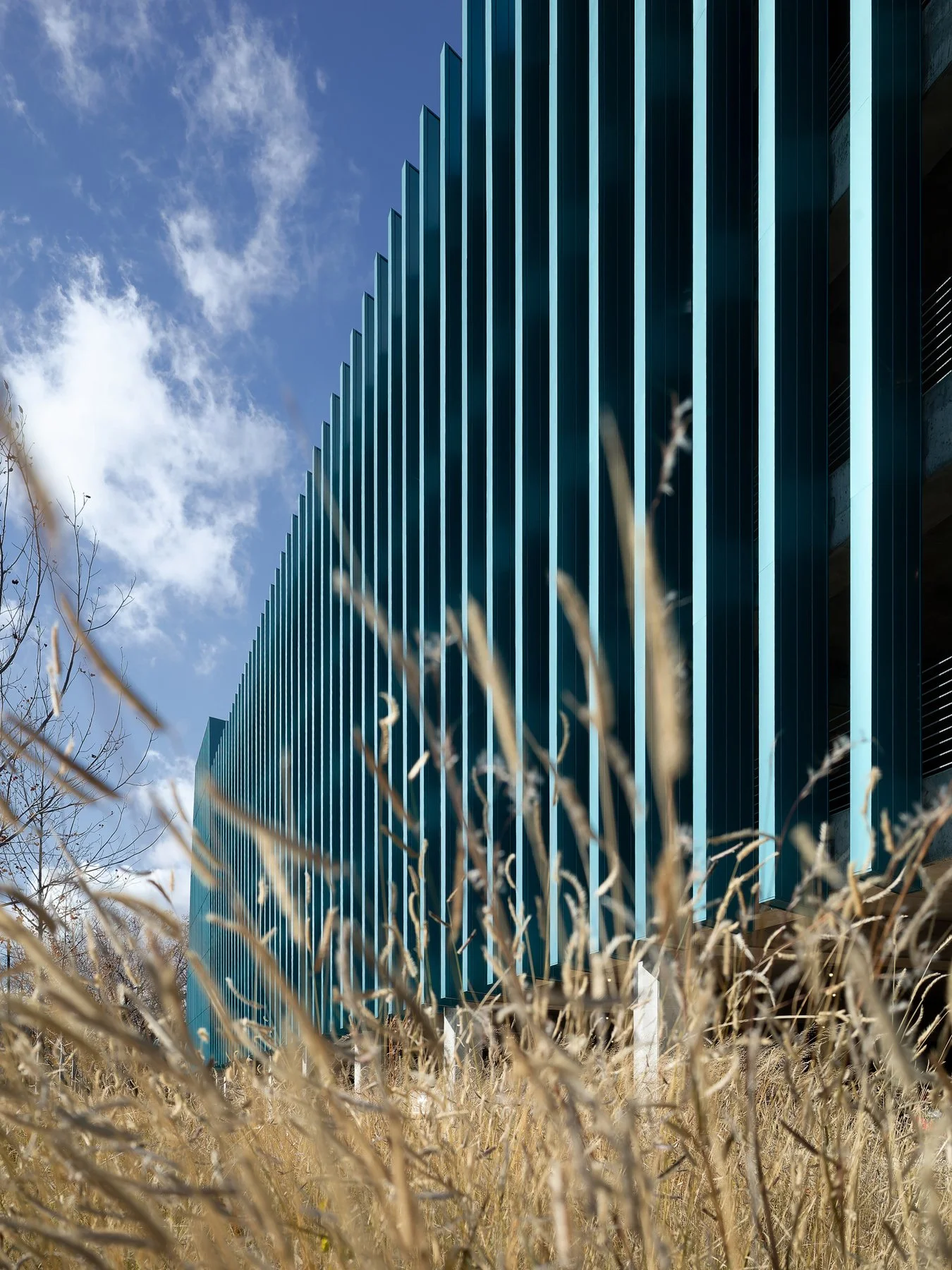 Crystal Bridges Parking the deep teal fin facade rising above native grasses, by Marlon Blackwell - architectural photographer Bentonville Arkansas